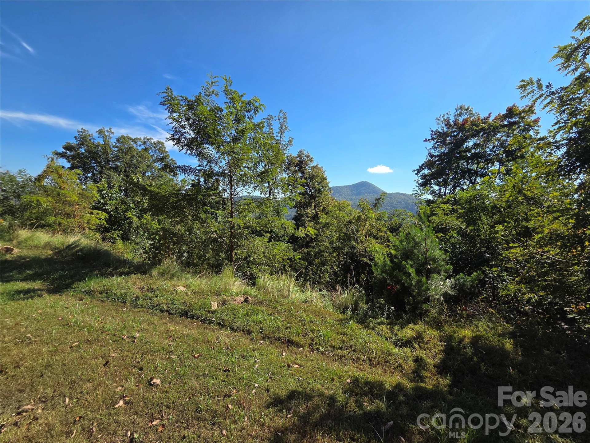 1505 Summit View Drive #20 - Photo 12