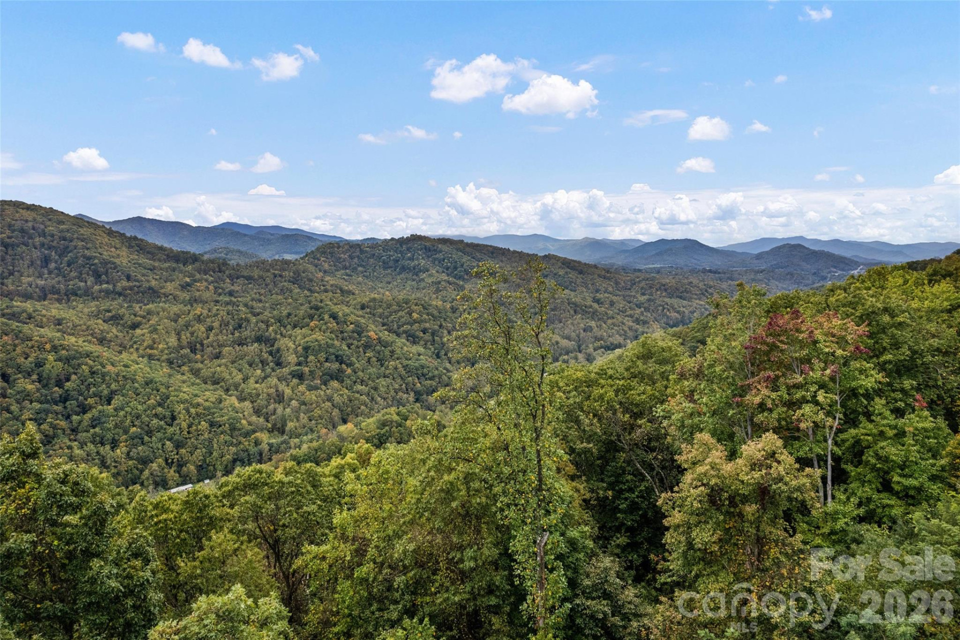 1505 Summit View Drive #20 - Photo 9