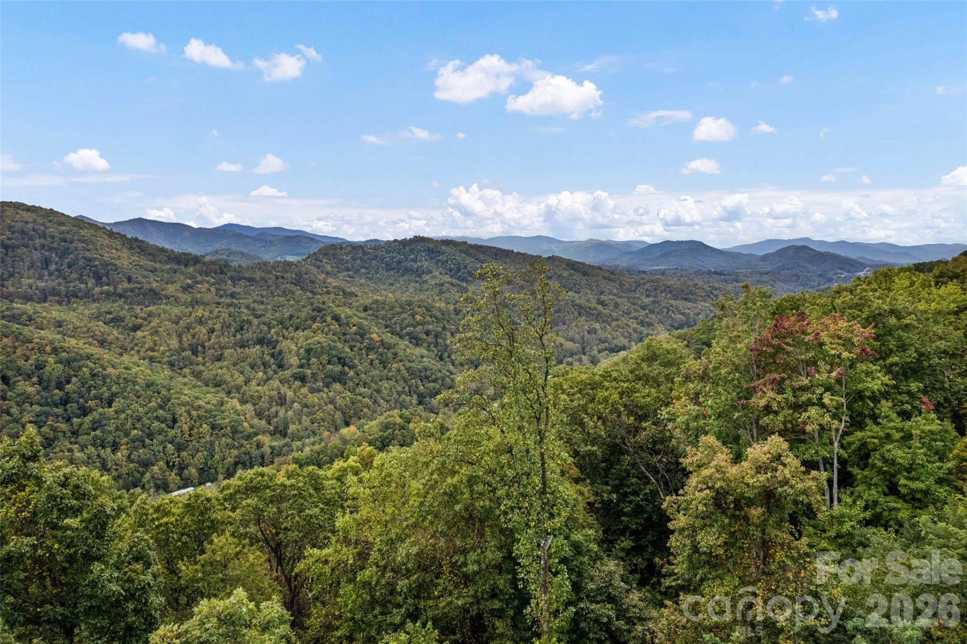 1505 Summit View Drive #20 - Photo 9