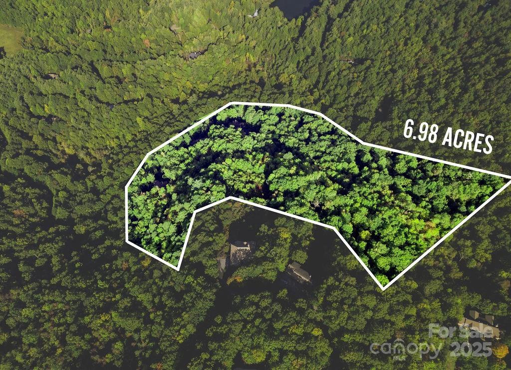 TBD Rock Face Road #L299 - Photo 2