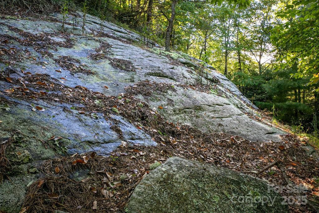 TBD Rock Face Road #L299 - Photo 13