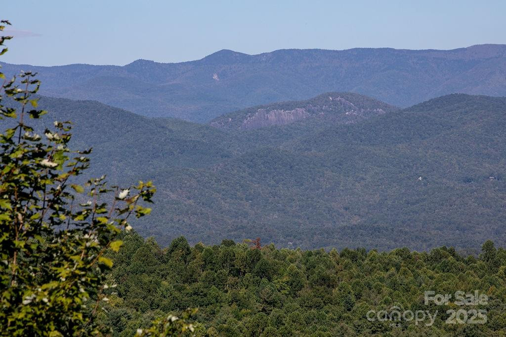 TBD Rock Face Road #L299 - Photo 8