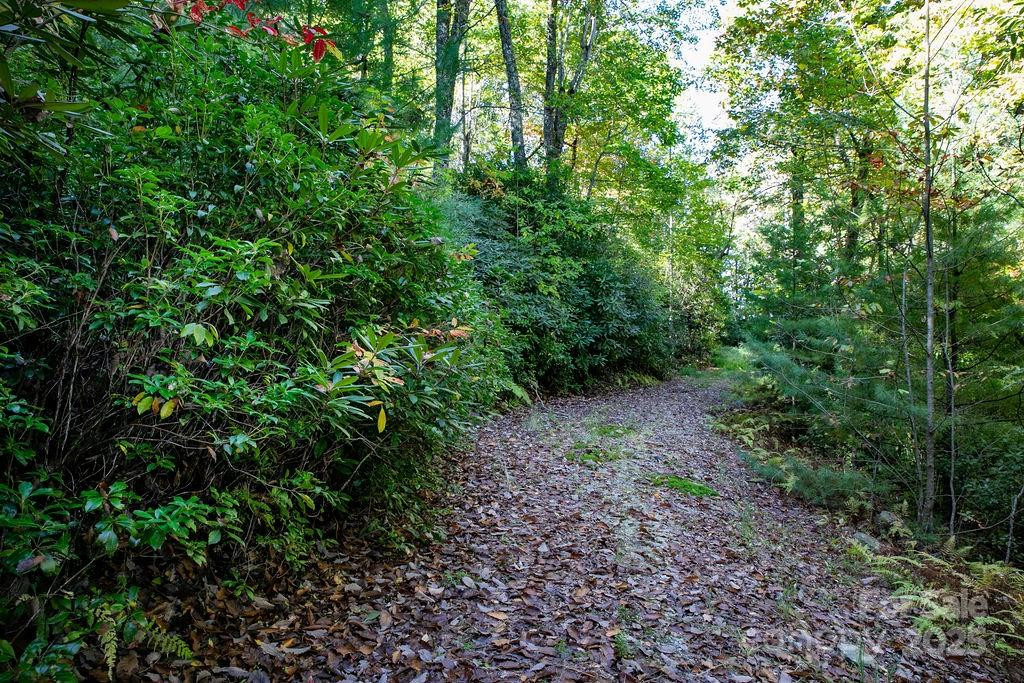 TBD Rock Face Road #L299 - Photo 9