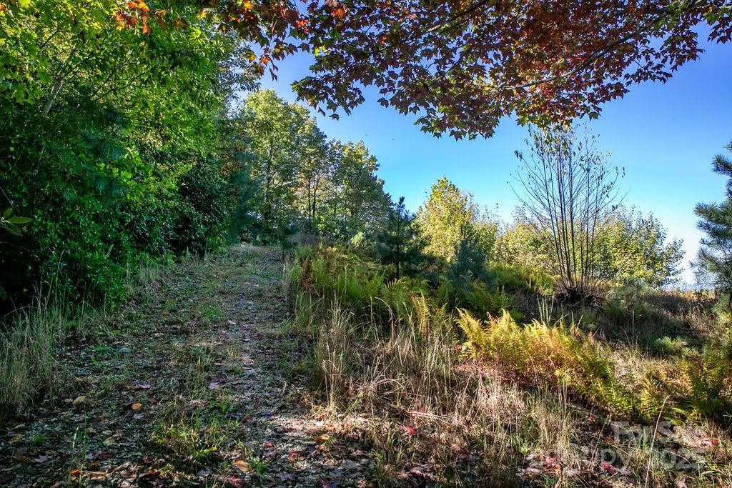 TBD Rock Face Road #L299 - Photo 10