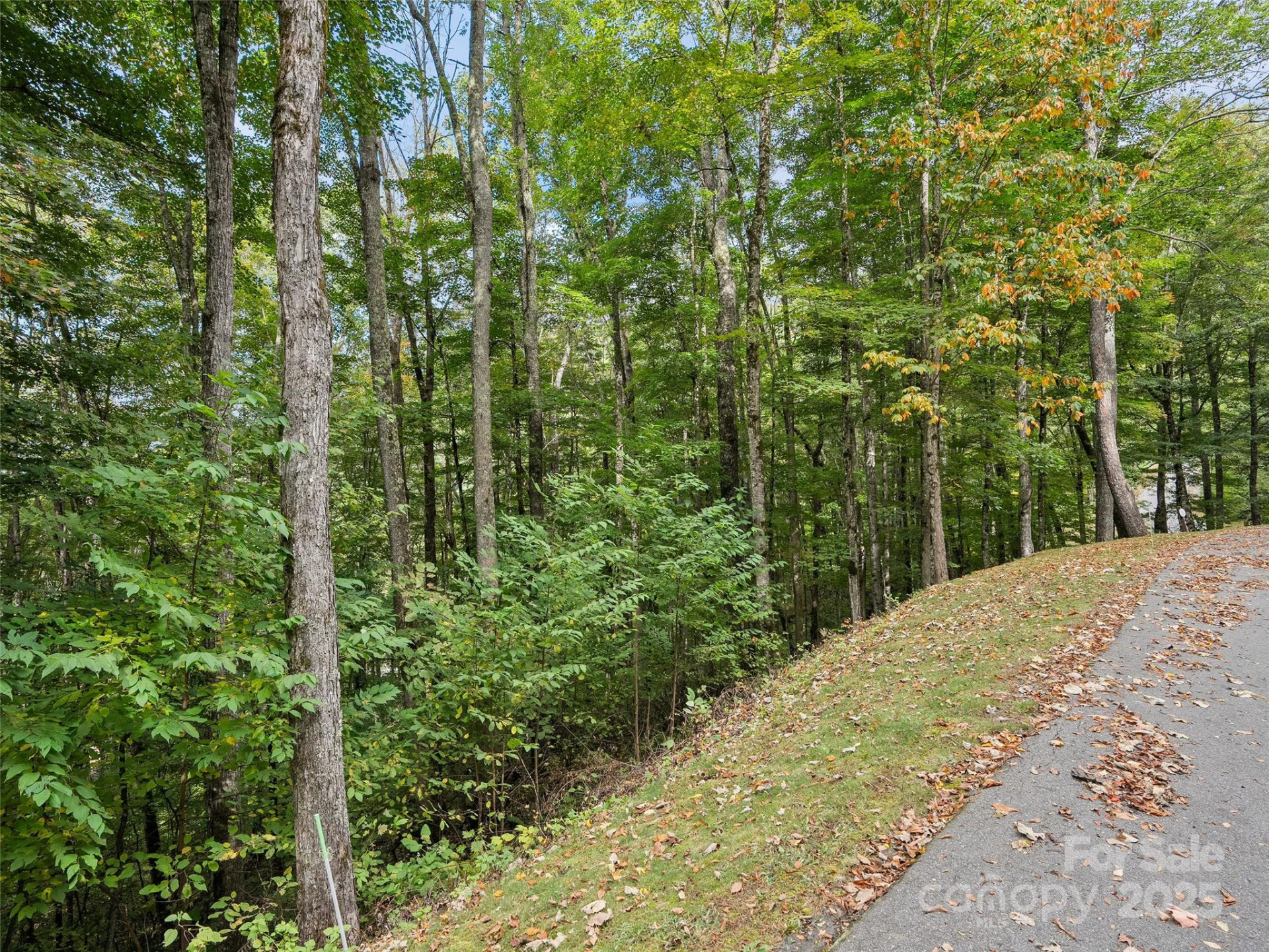 0 Macallan Drive #16 - Photo 2