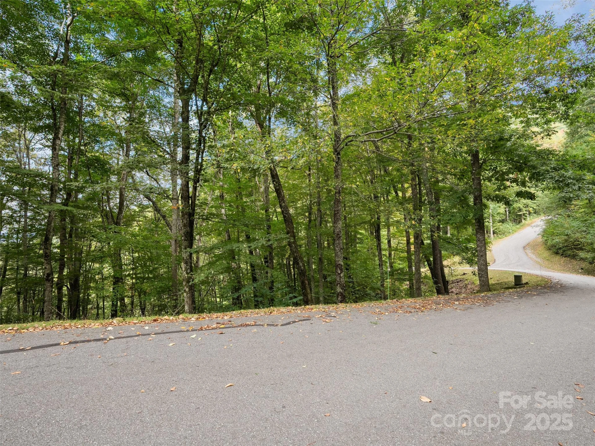 0 Macallan Drive #16 - Photo 3