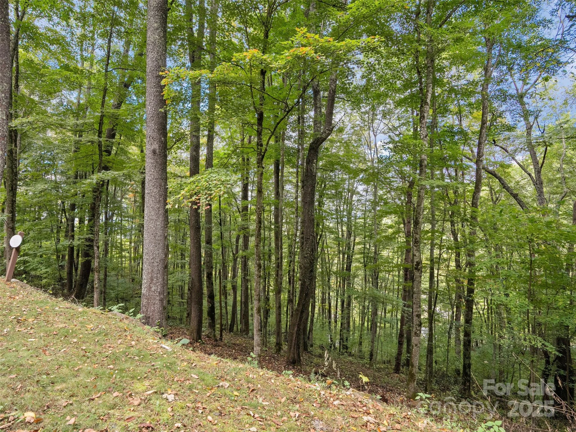 0 Macallan Drive #16 - Photo 4
