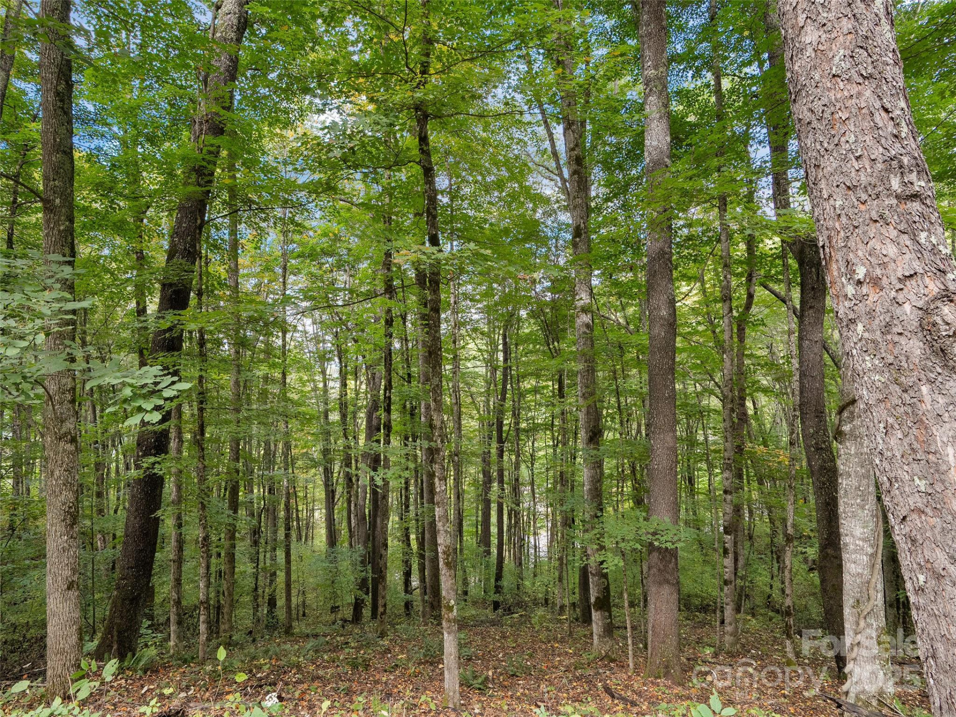 0 Macallan Drive #16 - Photo 5