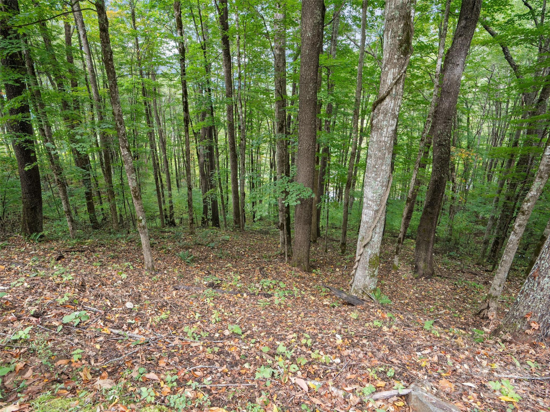 0 Macallan Drive #16 - Photo 6