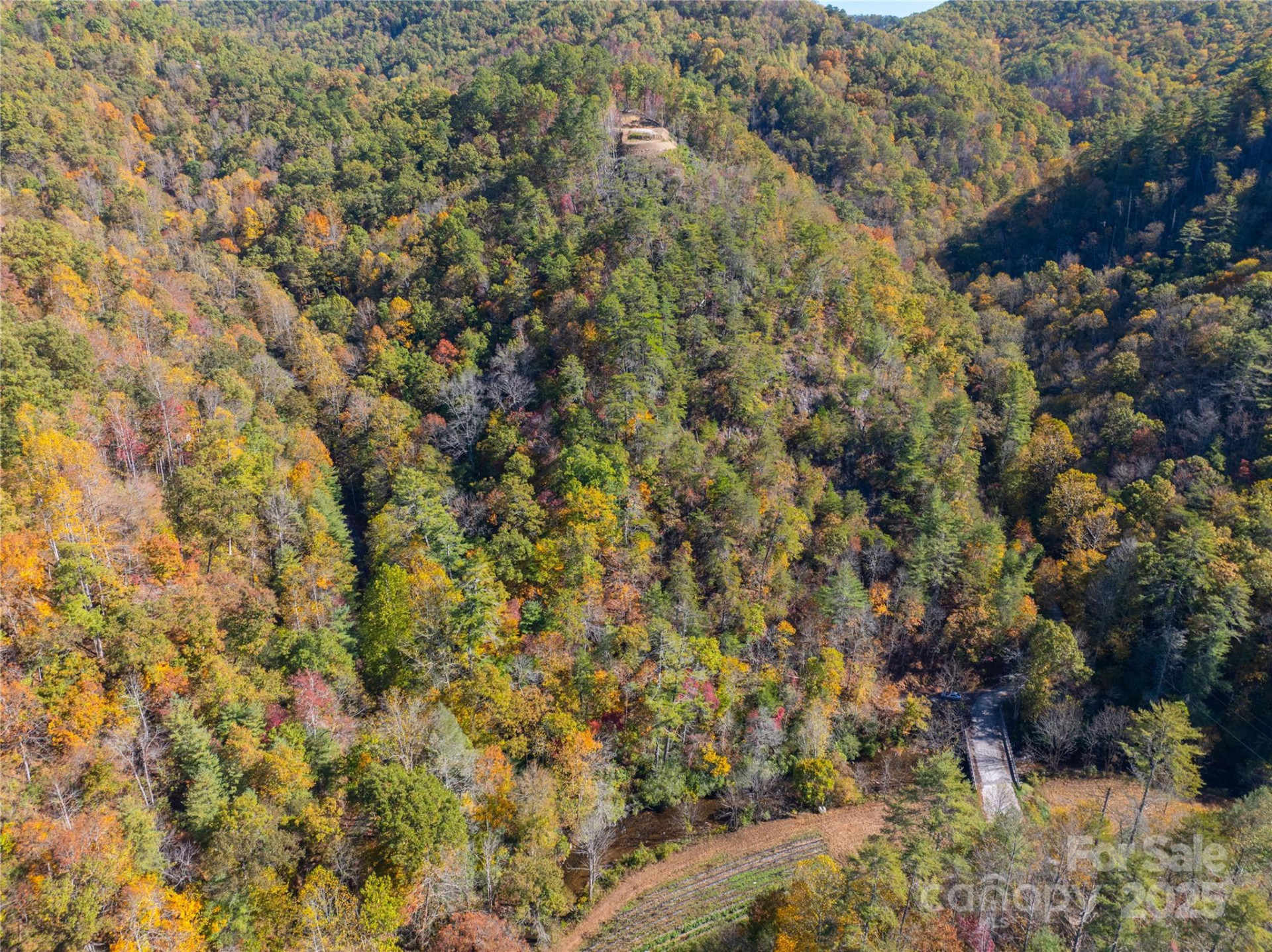 9999 Mountainside Drive - Photo 12