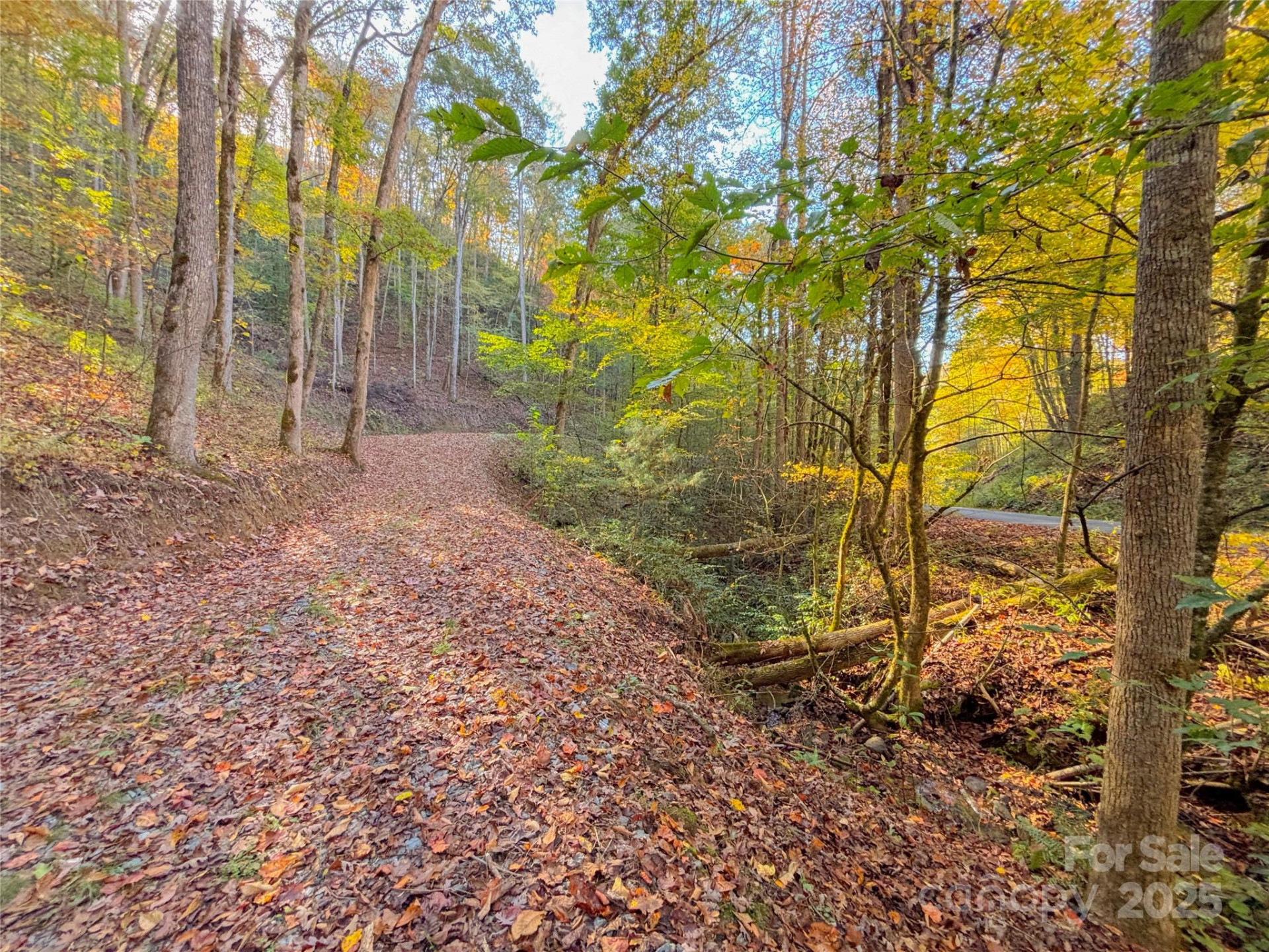 9999 Mountainside Drive - Photo 20