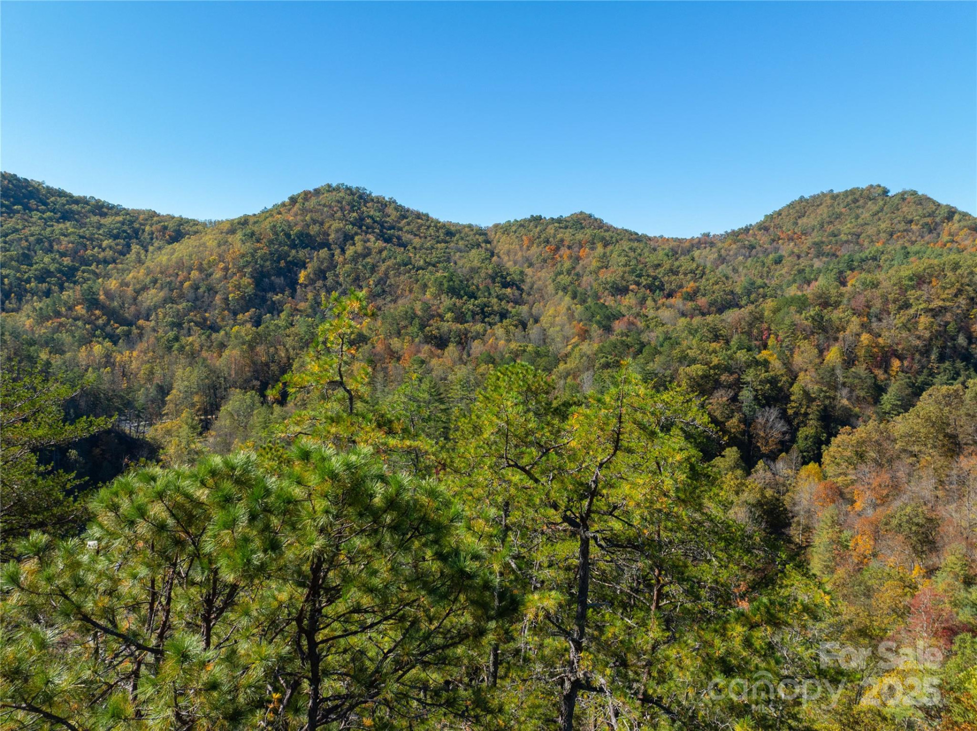 9999 Mountainside Drive - Photo 3