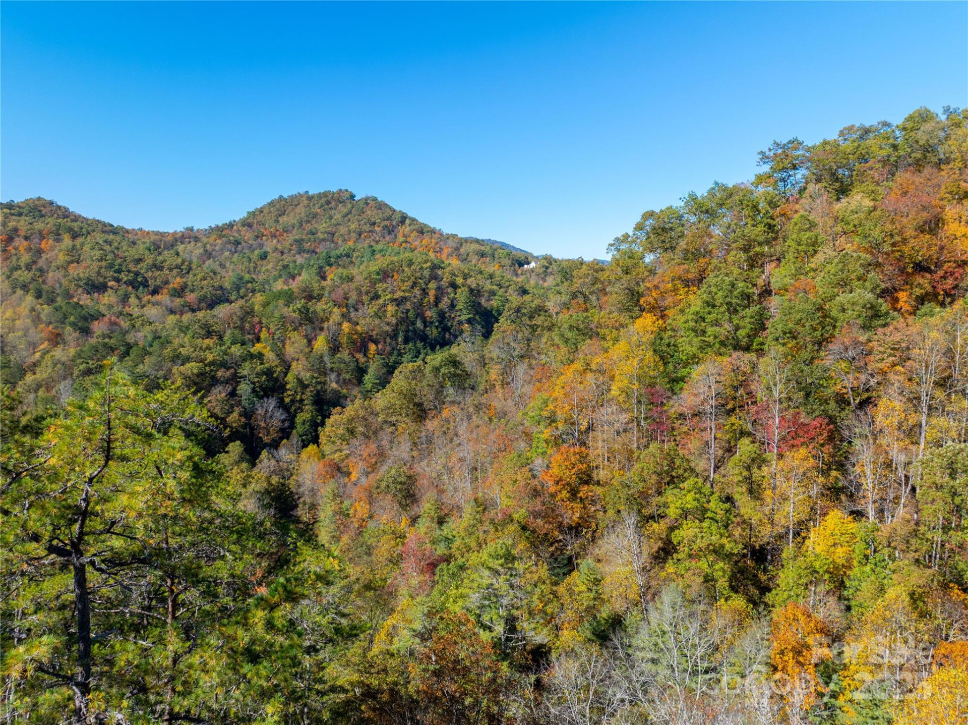 9999 Mountainside Drive - Photo 7