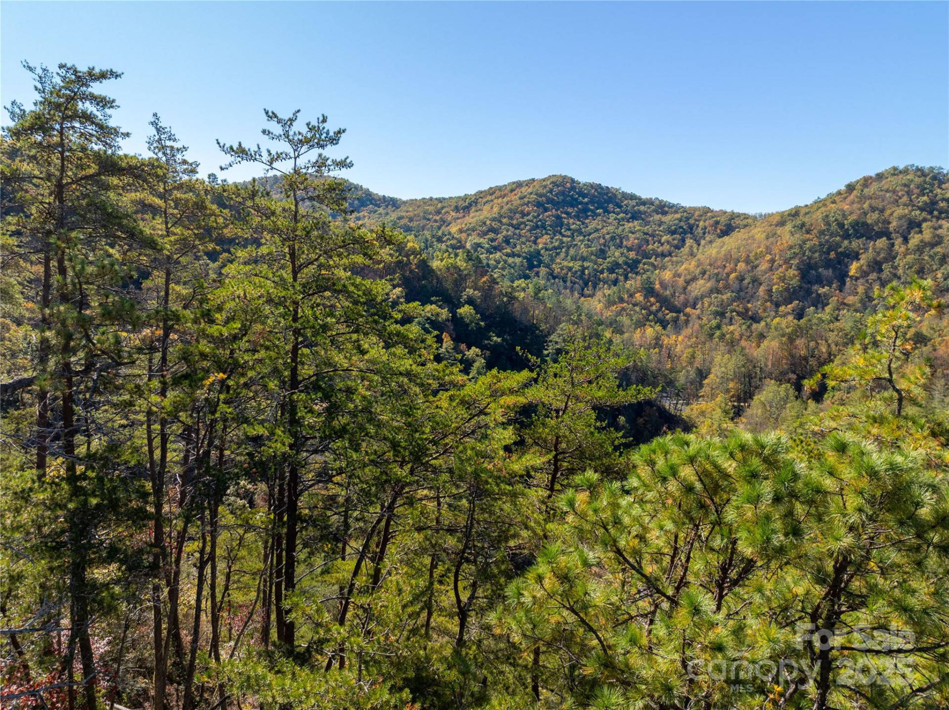 9999 Mountainside Drive - Photo 8