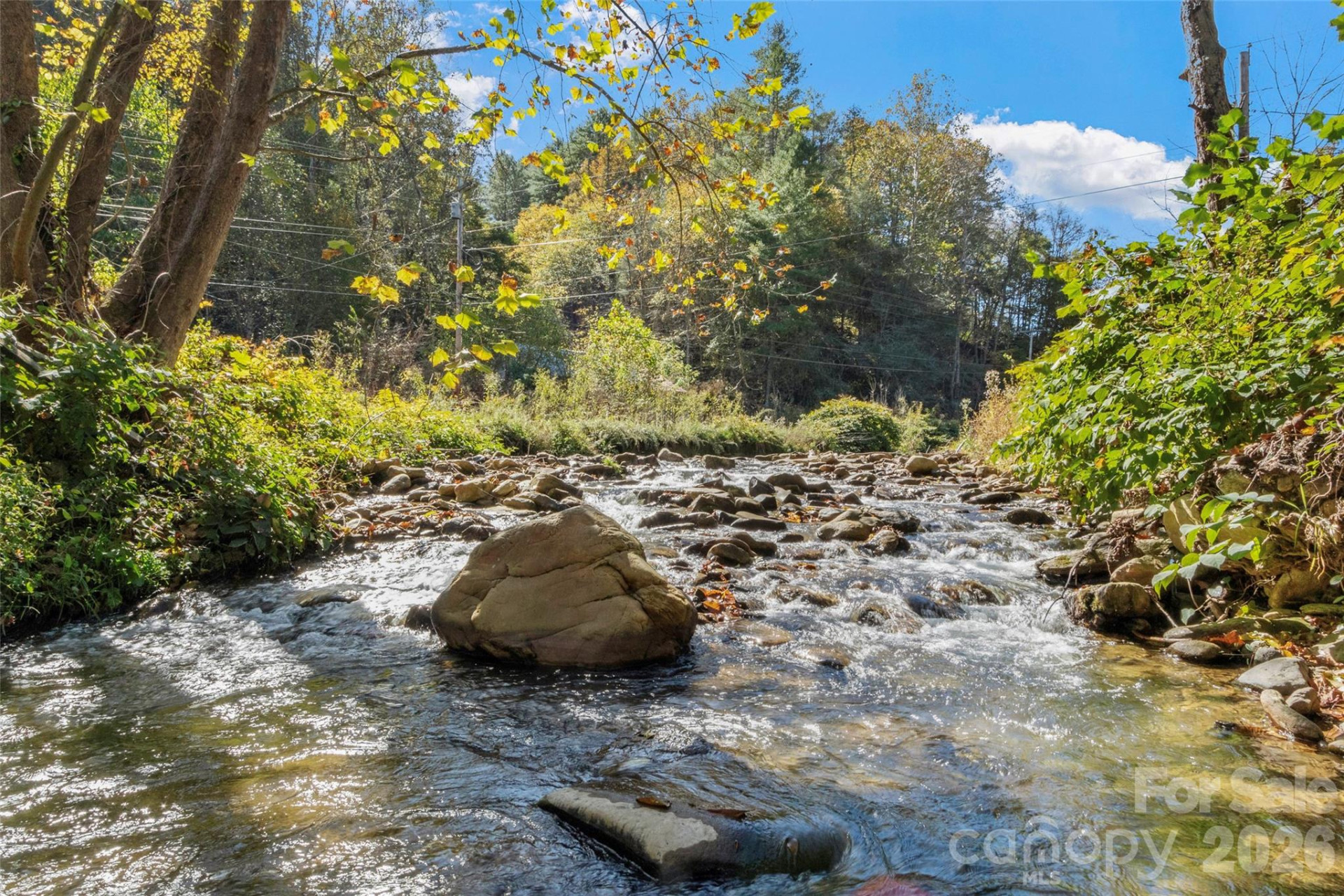 689 Bald Mountain Road - Photo 2