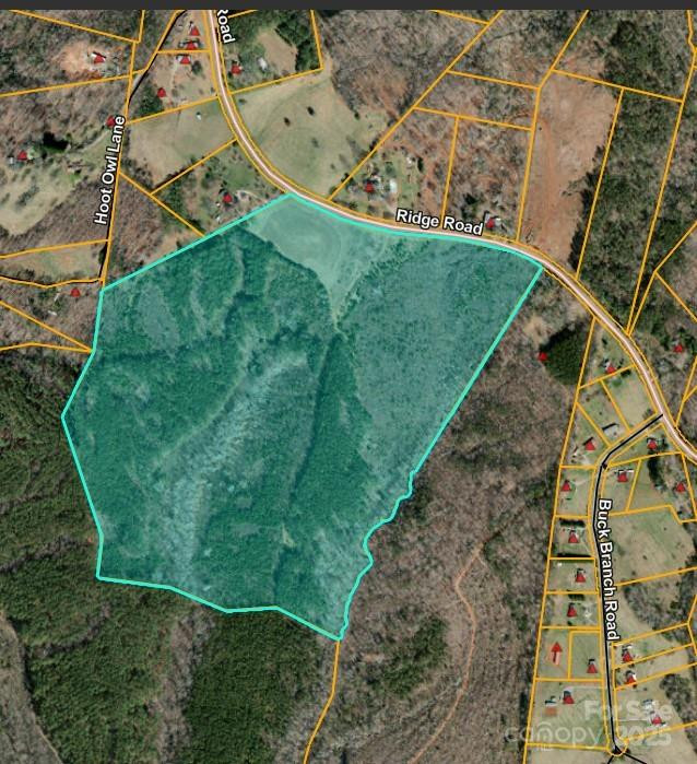 1178 Pea Ridge Road - Photo 2