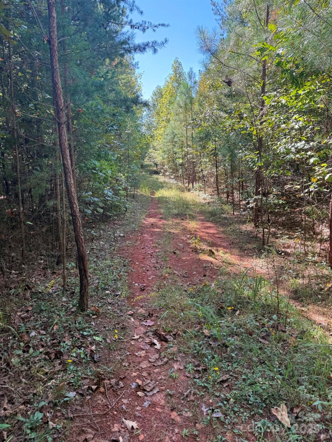 1178 Pea Ridge Road - Photo 4