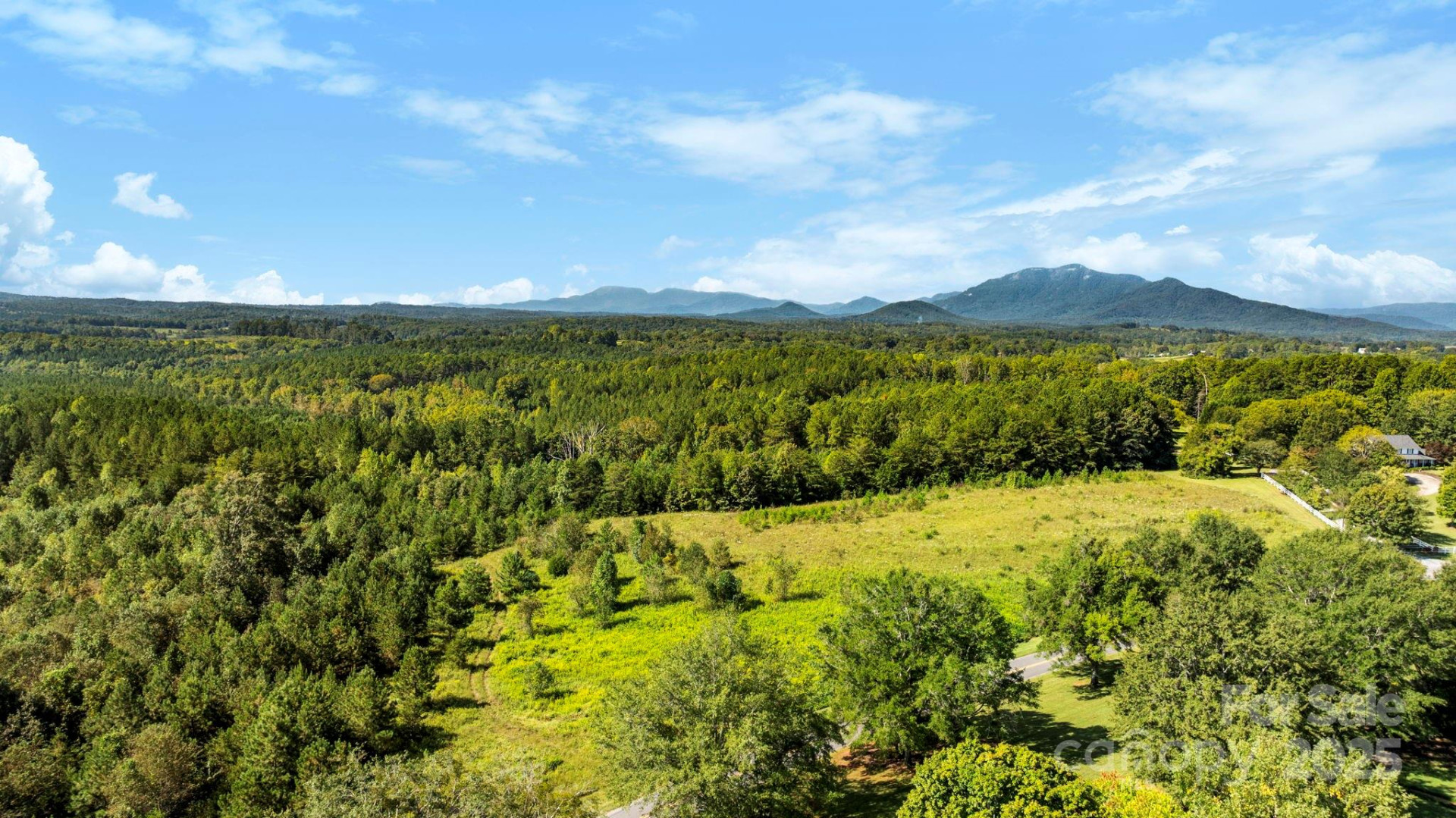 1178 Pea Ridge Road - Photo 6