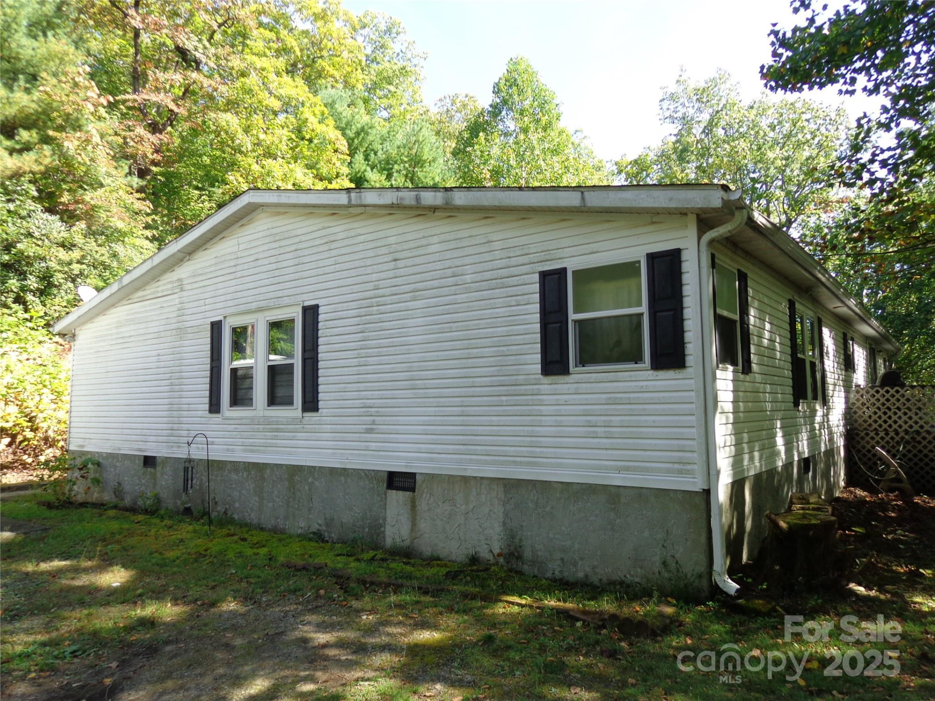 89 Blue Mountain Road - Photo 4