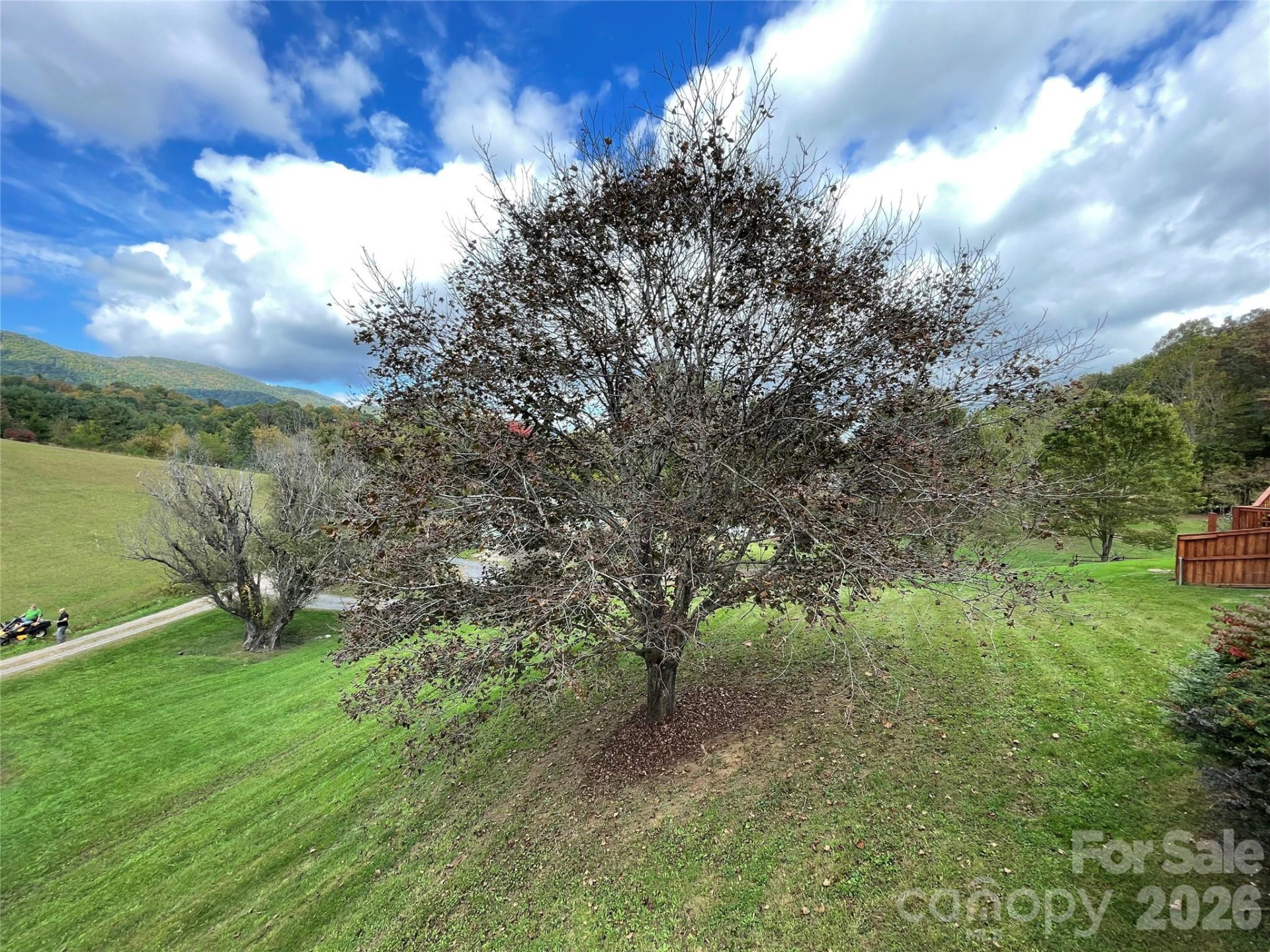 205 L And E Meadows Drive - Photo 34