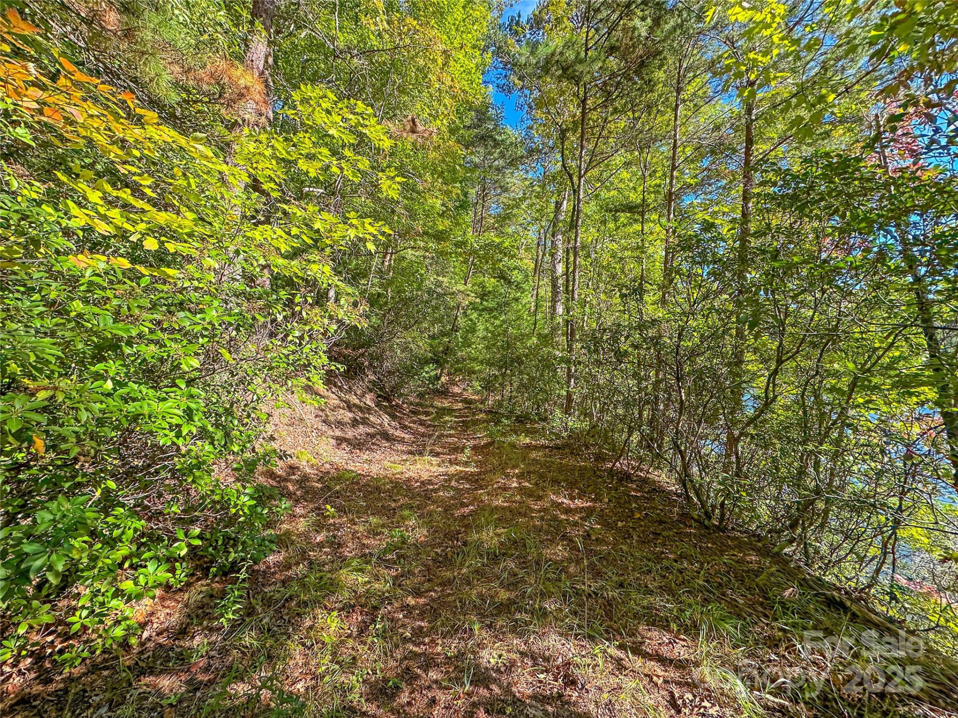 Lot 15 South Cove Road #15 - Photo 30