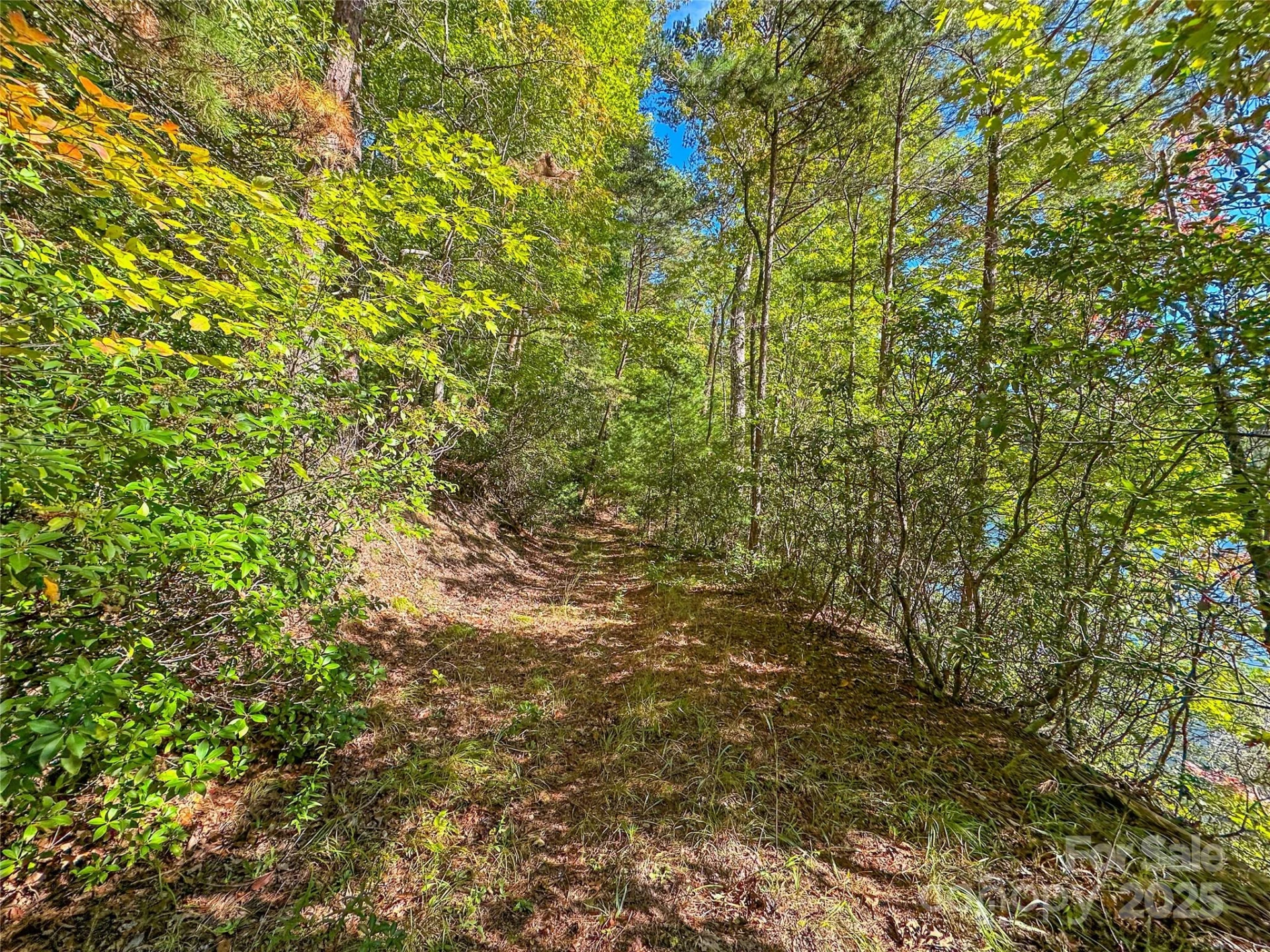 Lot 15 South Cove Road #15 - Photo 30
