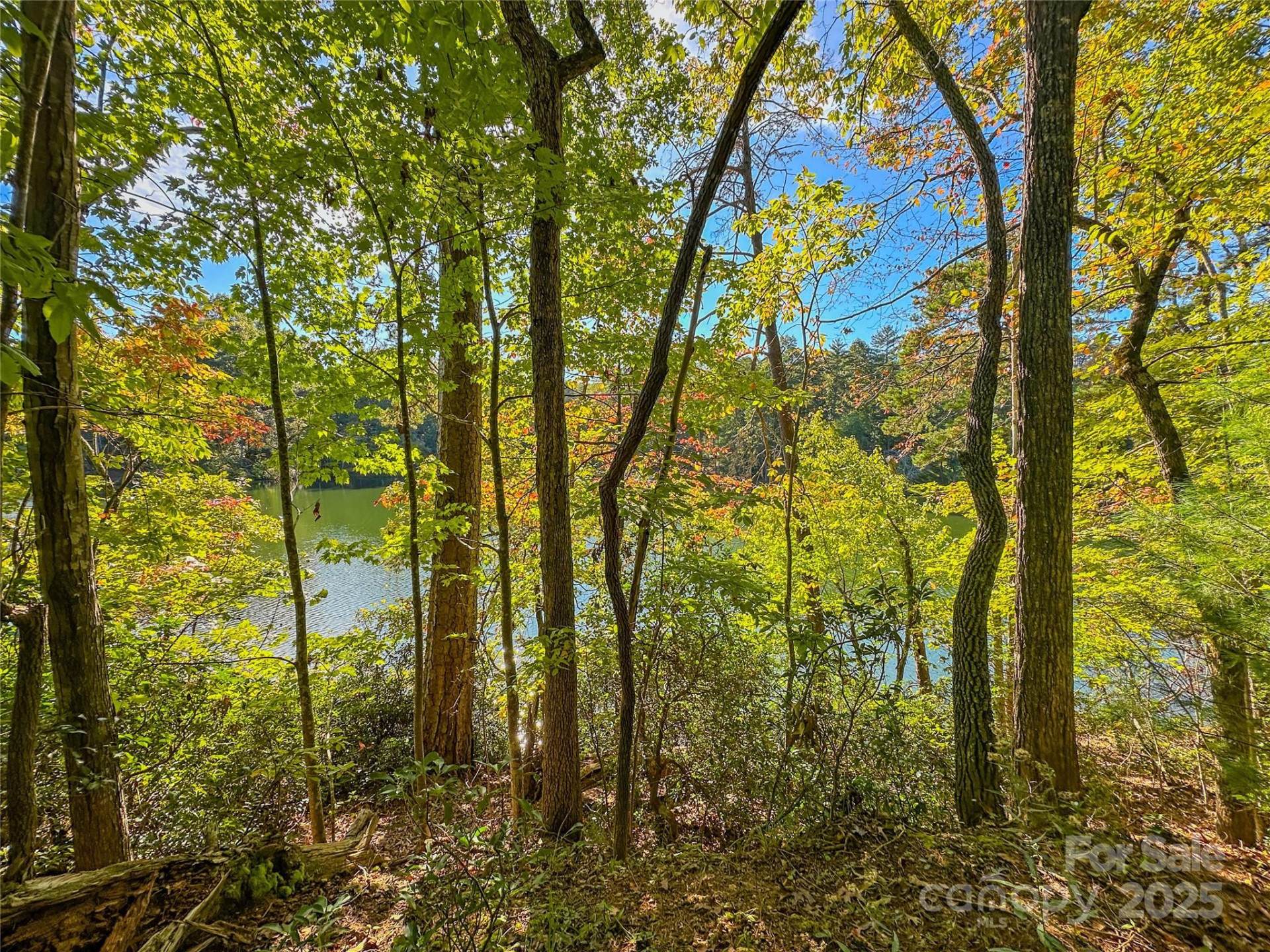 Lot 15 South Cove Road #15 - Photo 31