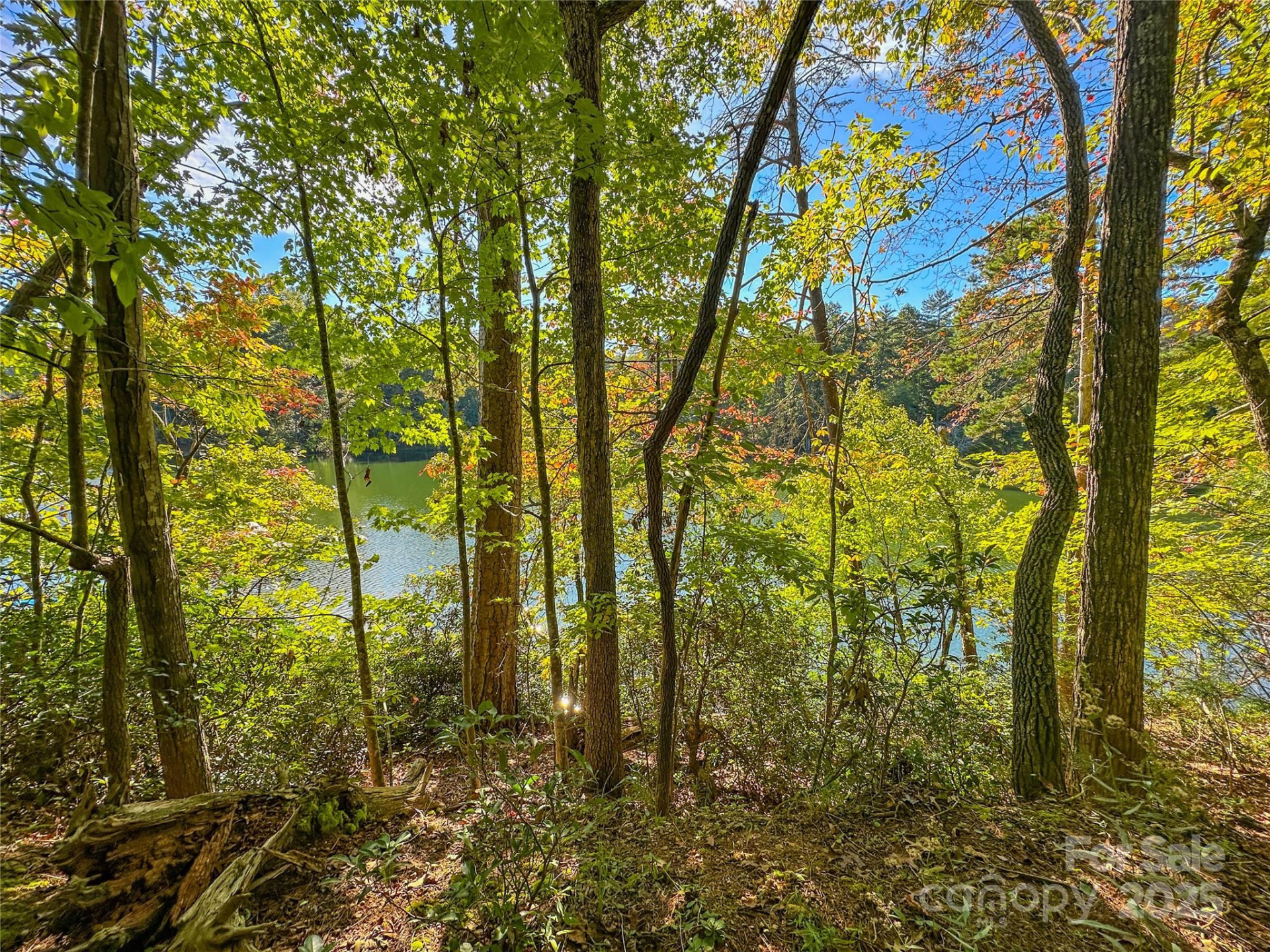 Lot 15 South Cove Road #15 - Photo 32