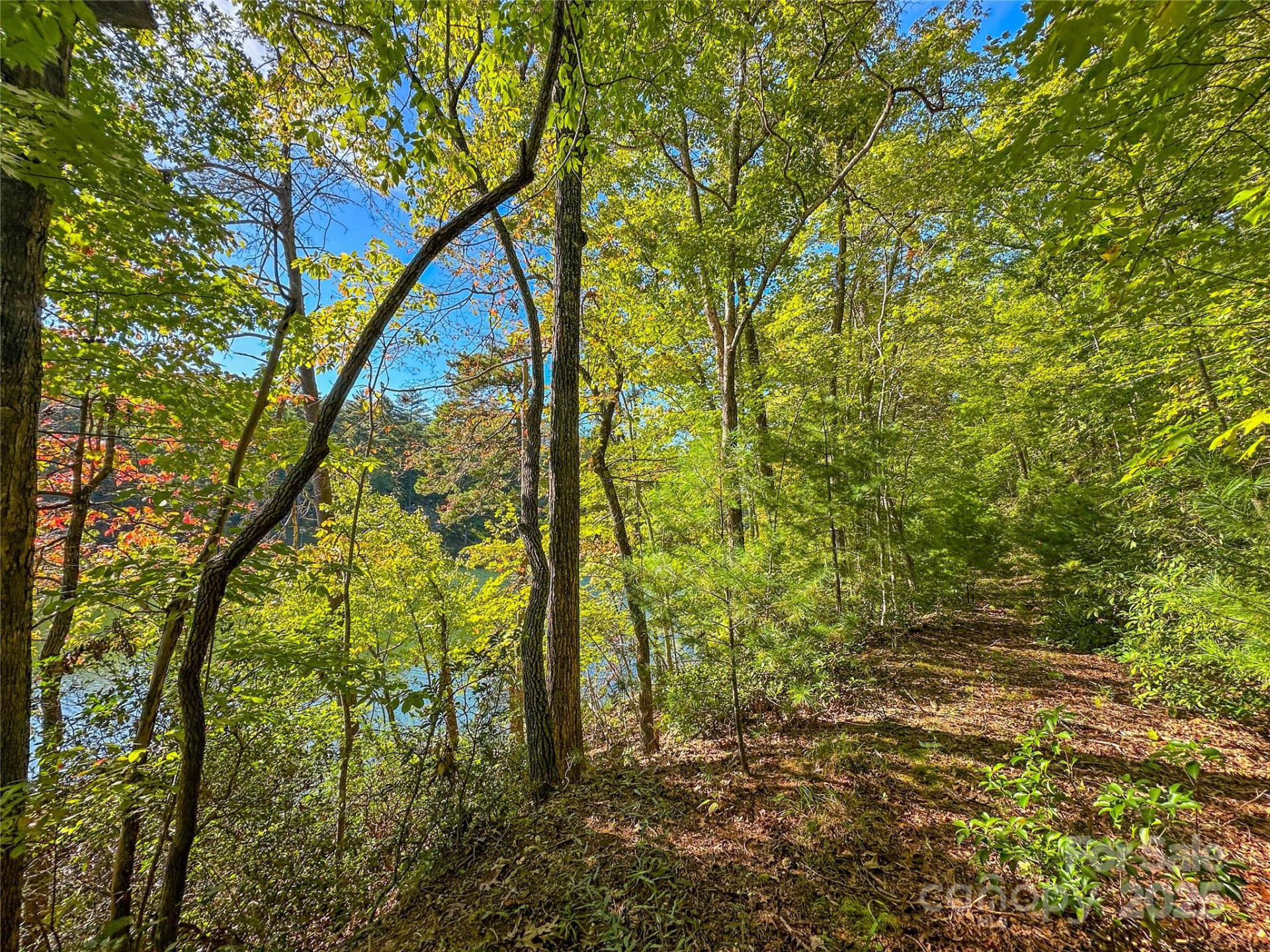 Lot 15 South Cove Road #15 - Photo 33