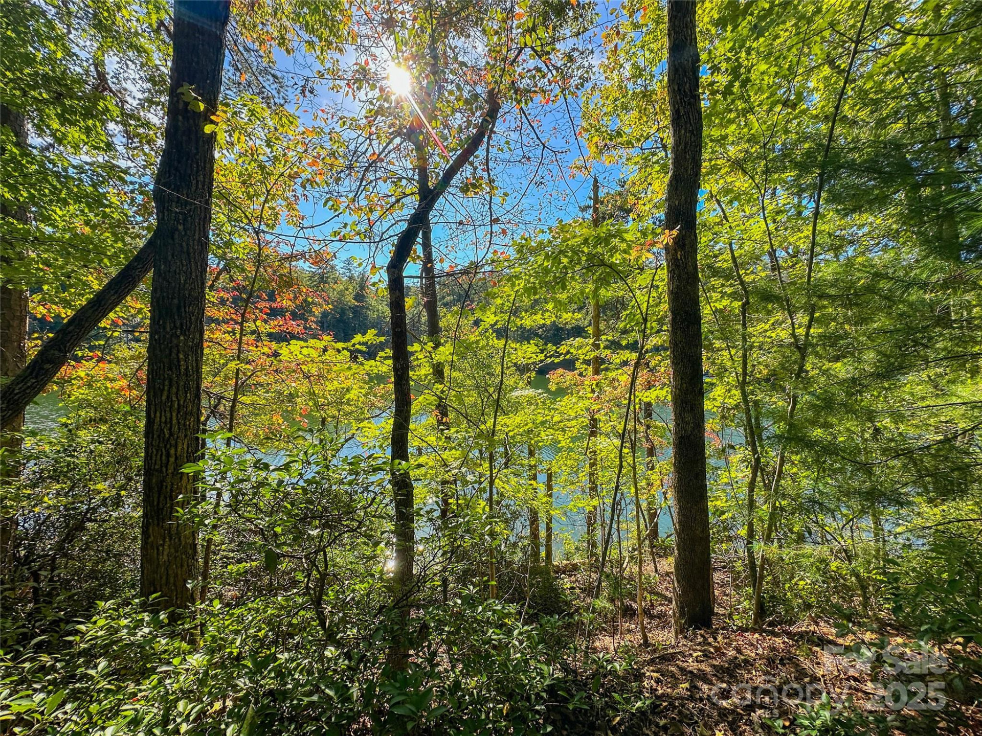 Lot 15 South Cove Road #15 - Photo 34