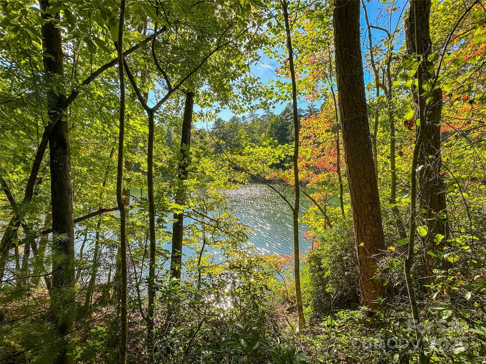 Lot 15 South Cove Road #15 - Photo 35