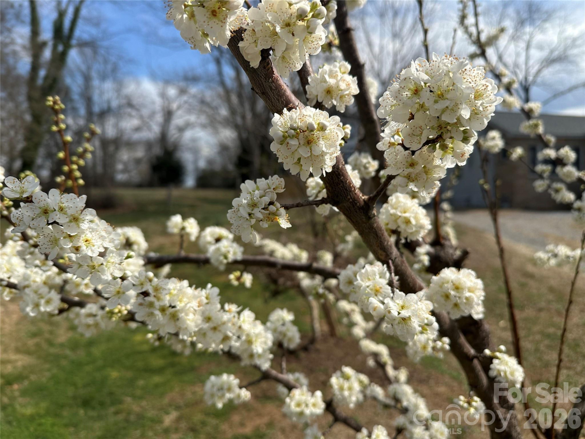 20 Merchant Street - Photo 27