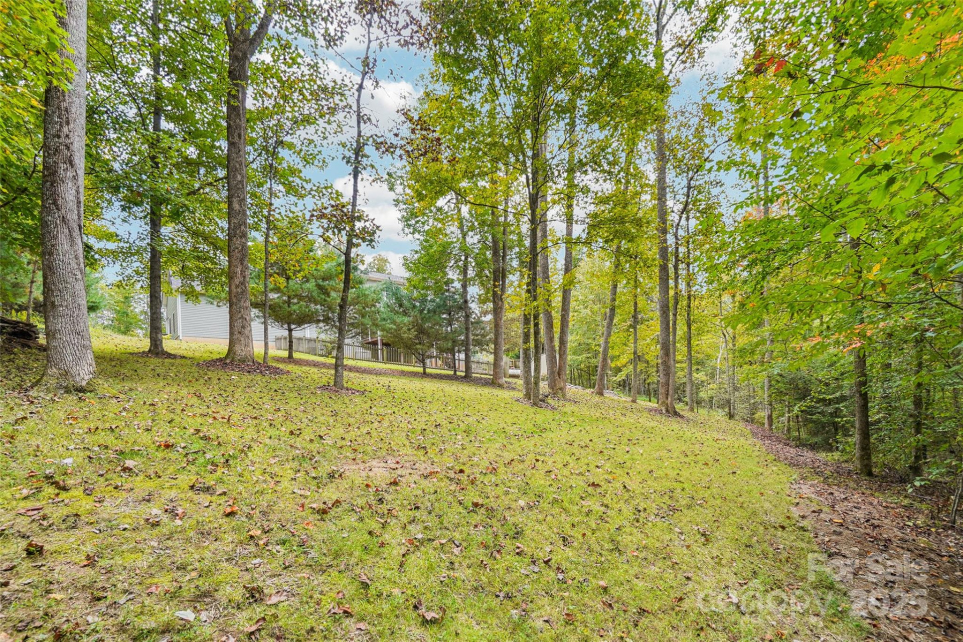 813 Beech Tree Place - Photo 44