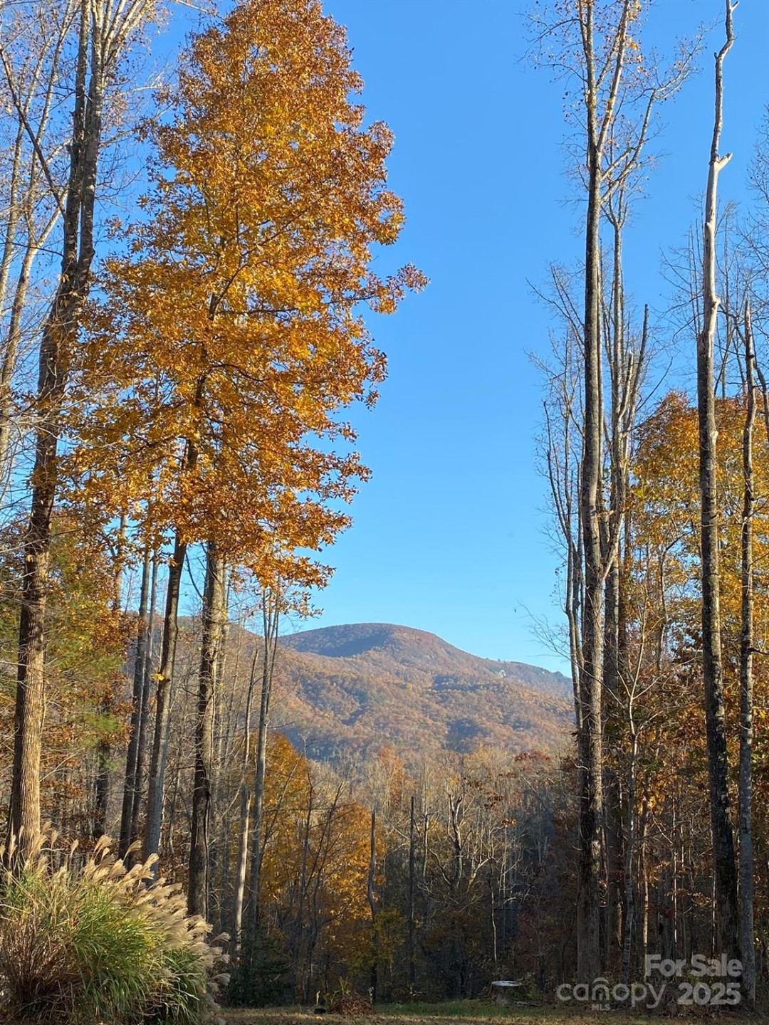 813 Beech Tree Place - Photo 45