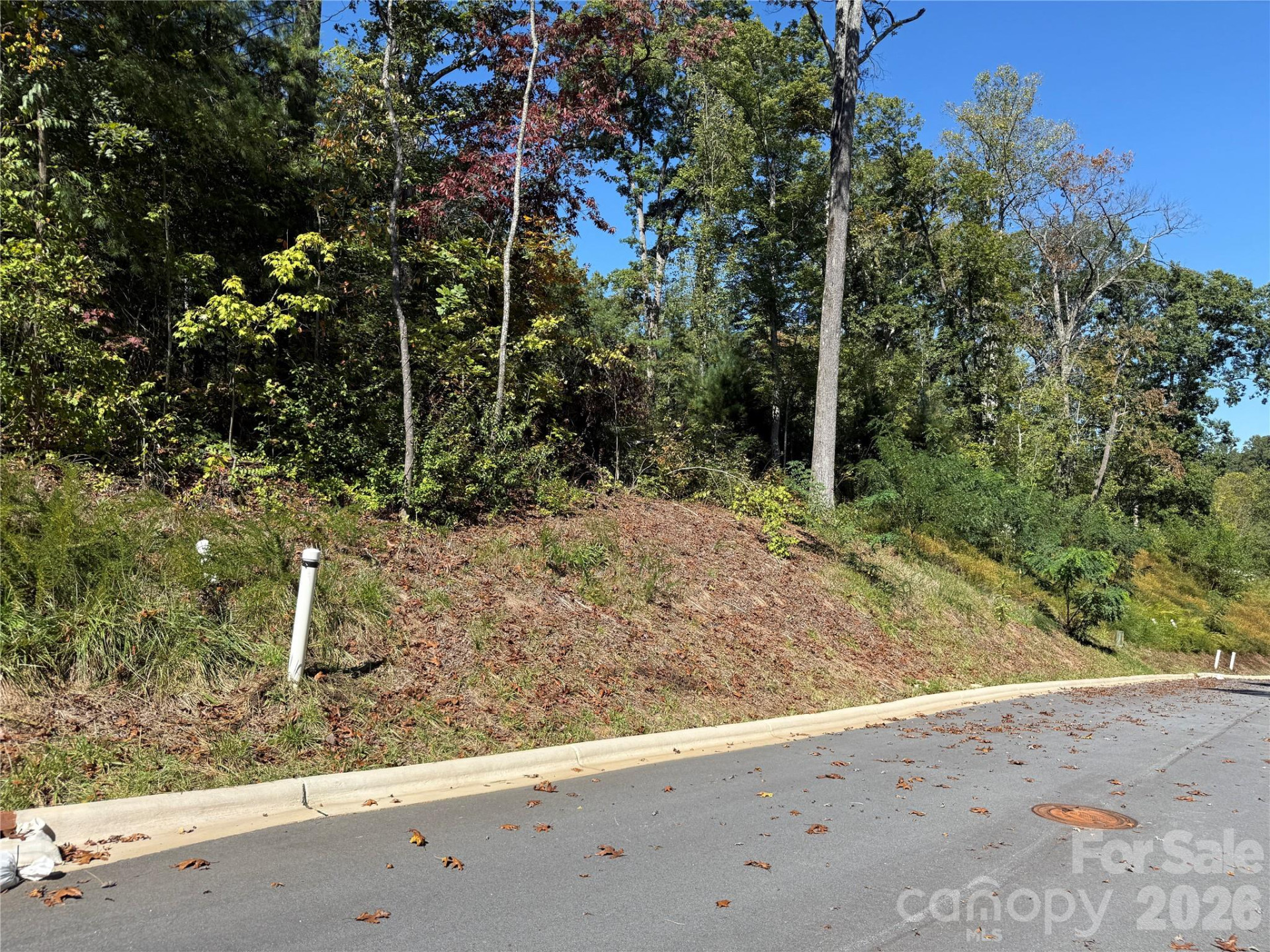 407 Old Fox Trail #72 - Photo 7