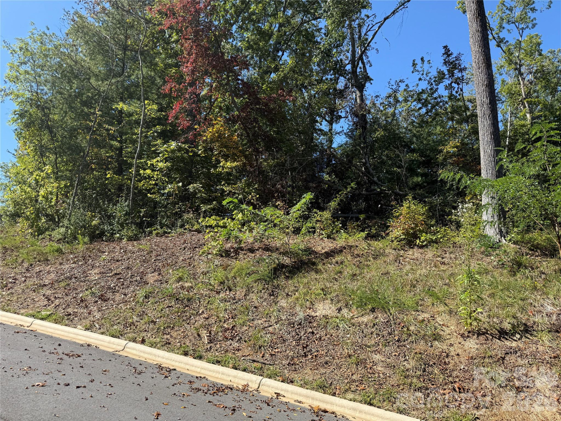 407 Old Fox Trail #72 - Photo 9