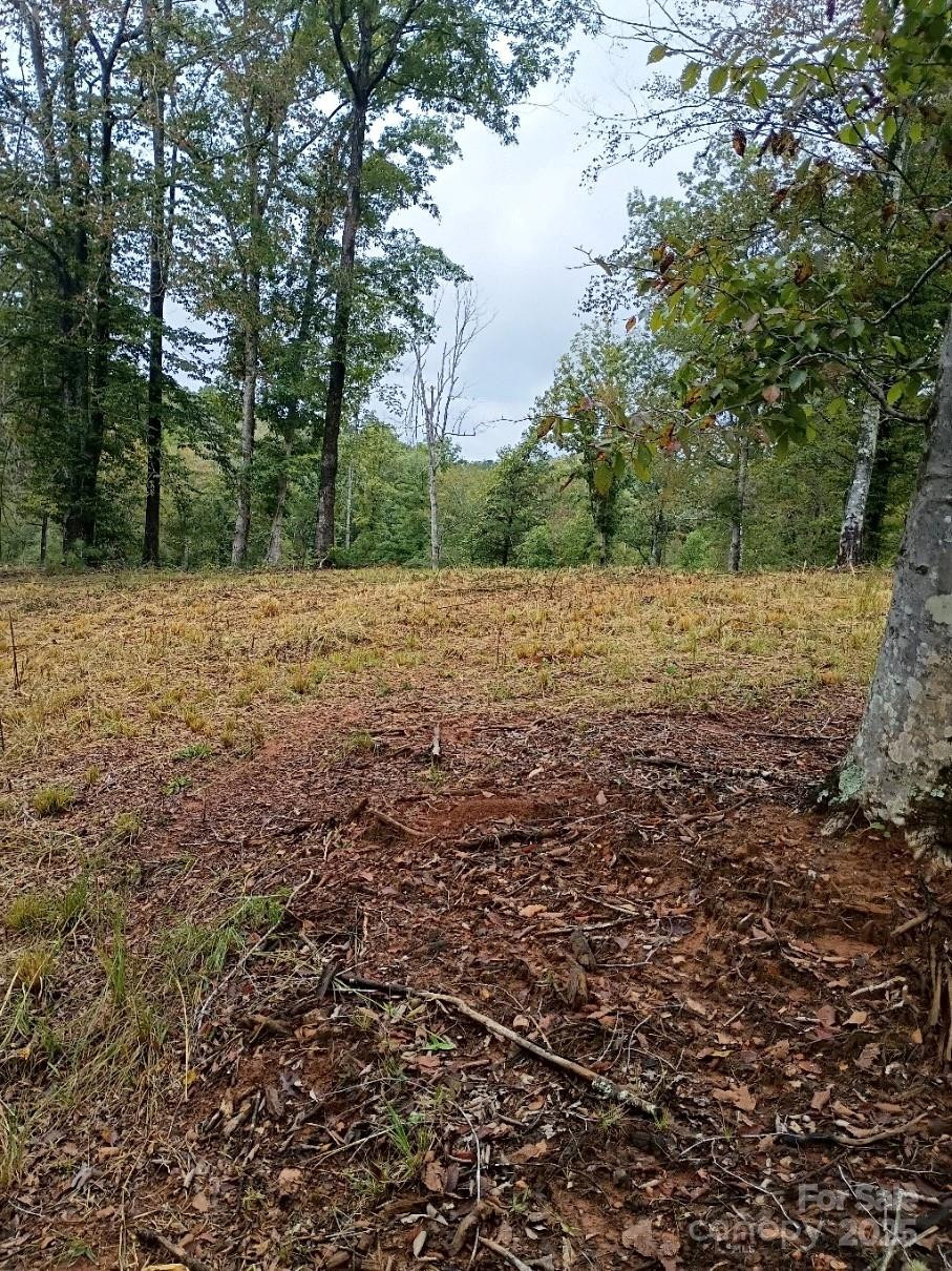 00 Ed Thompson Road - Photo 2