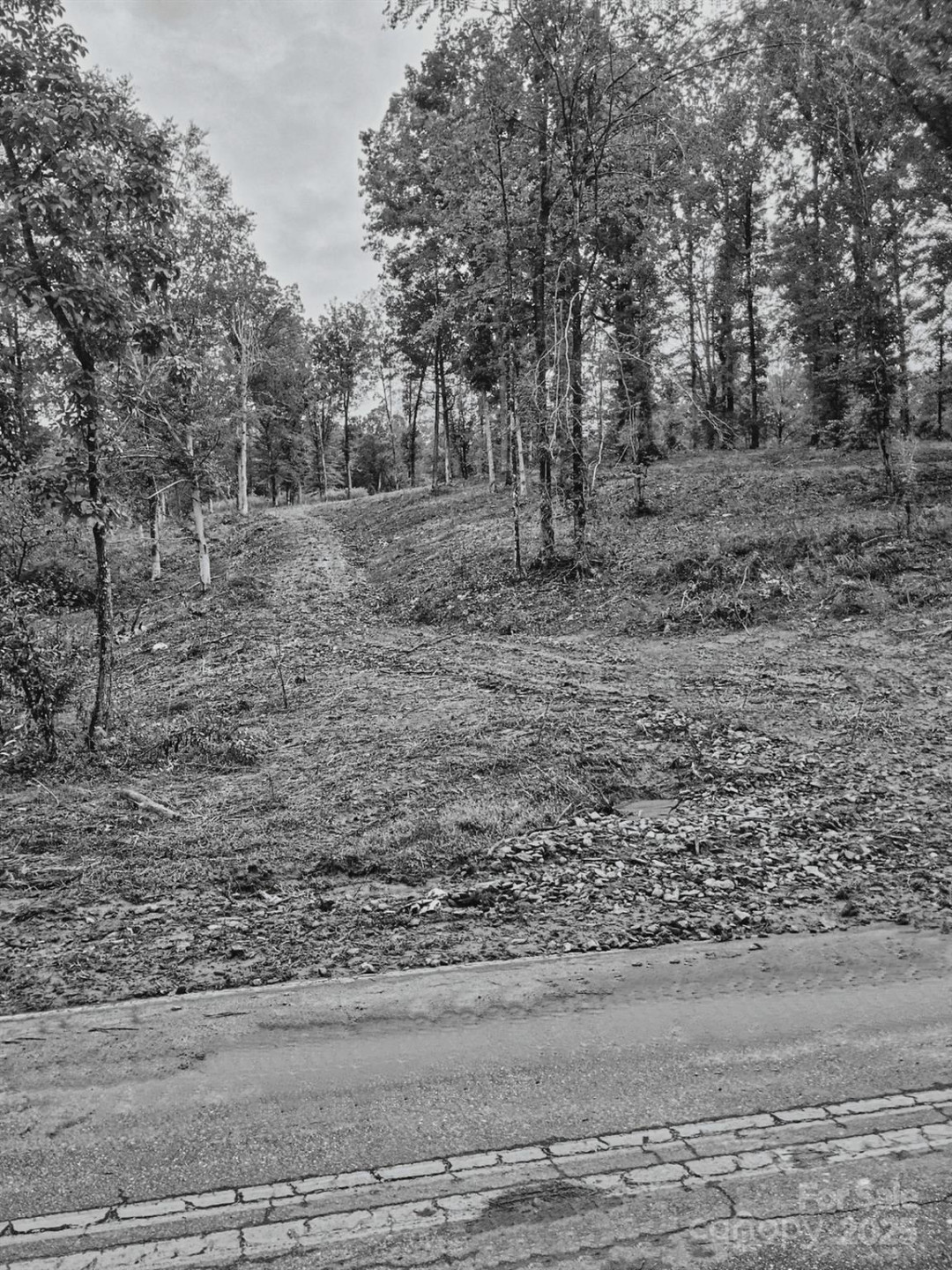 00 Ed Thompson Road - Photo 16