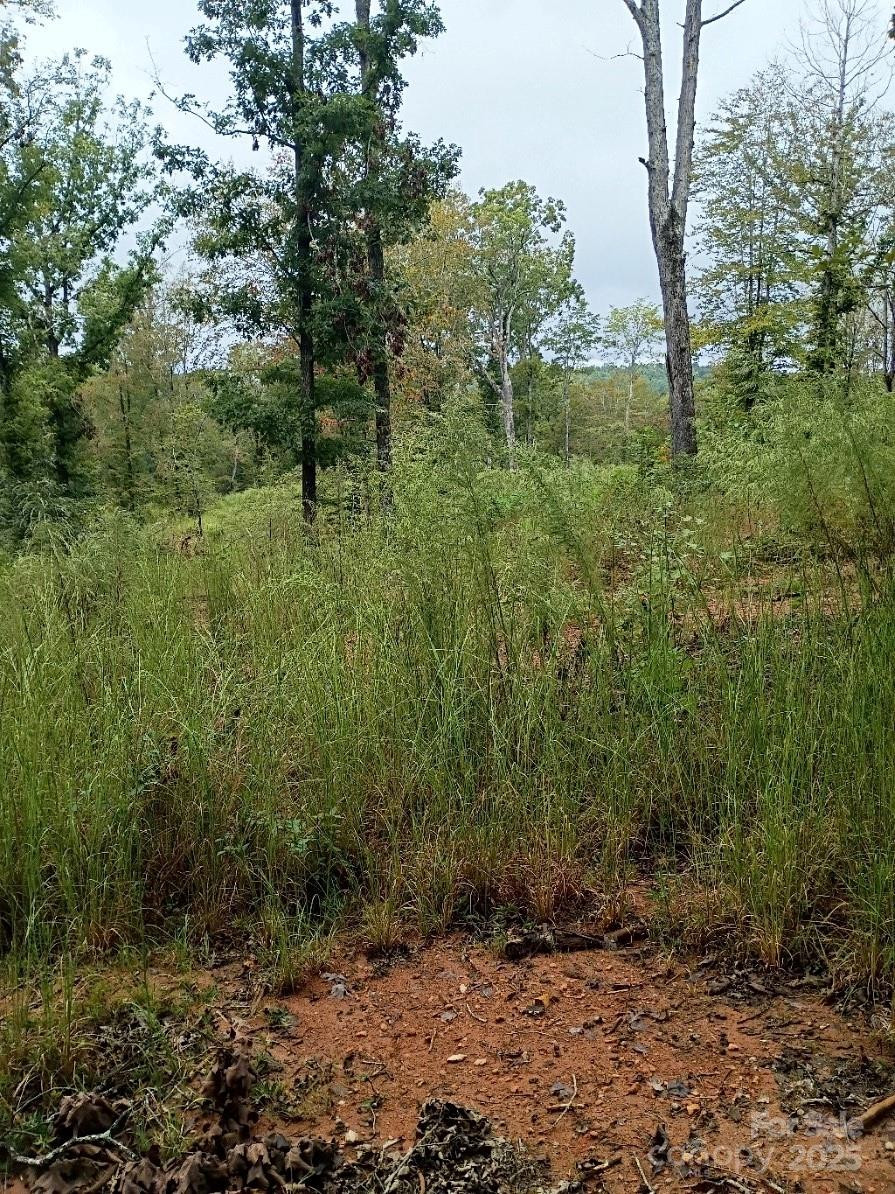 00 Ed Thompson Road - Photo 3