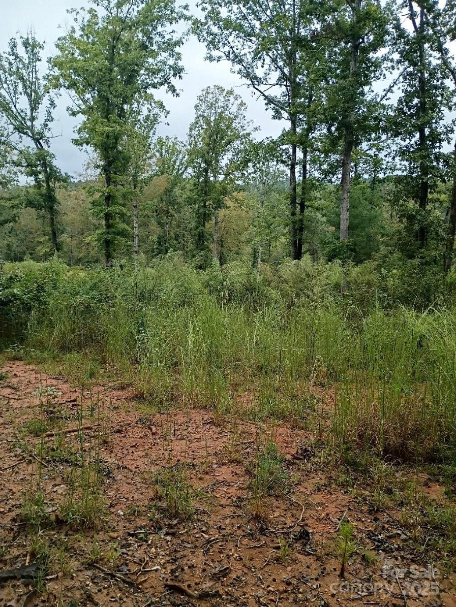 00 Ed Thompson Road - Photo 4