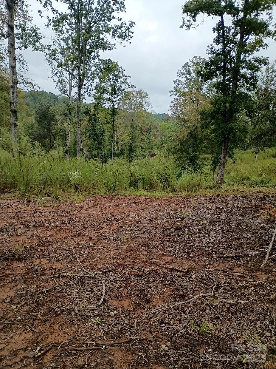 00 Ed Thompson Road - Photo 5