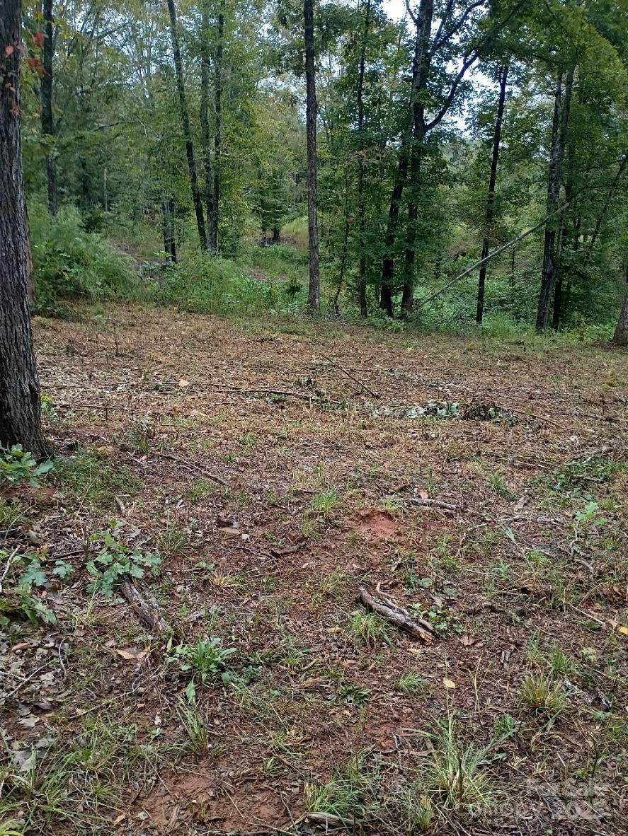 00 Ed Thompson Road - Photo 8
