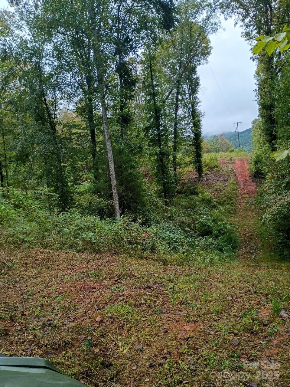 00 Ed Thompson Road - Photo 9