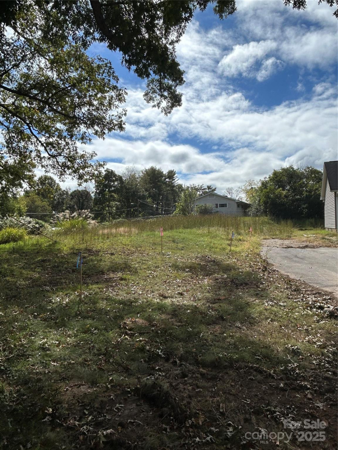 63 Wyatt Street - Photo 8