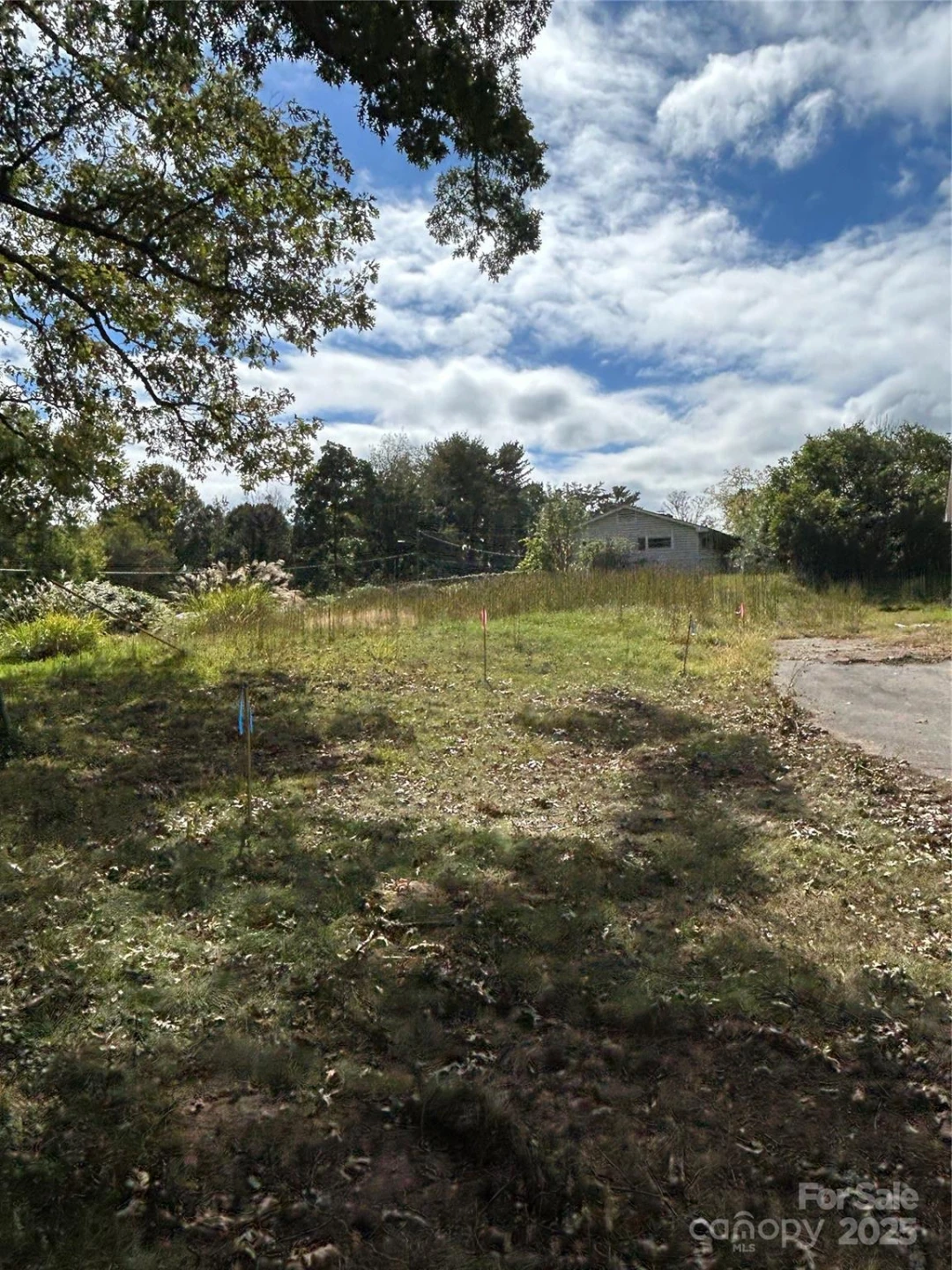 63 Wyatt Street - Photo 9