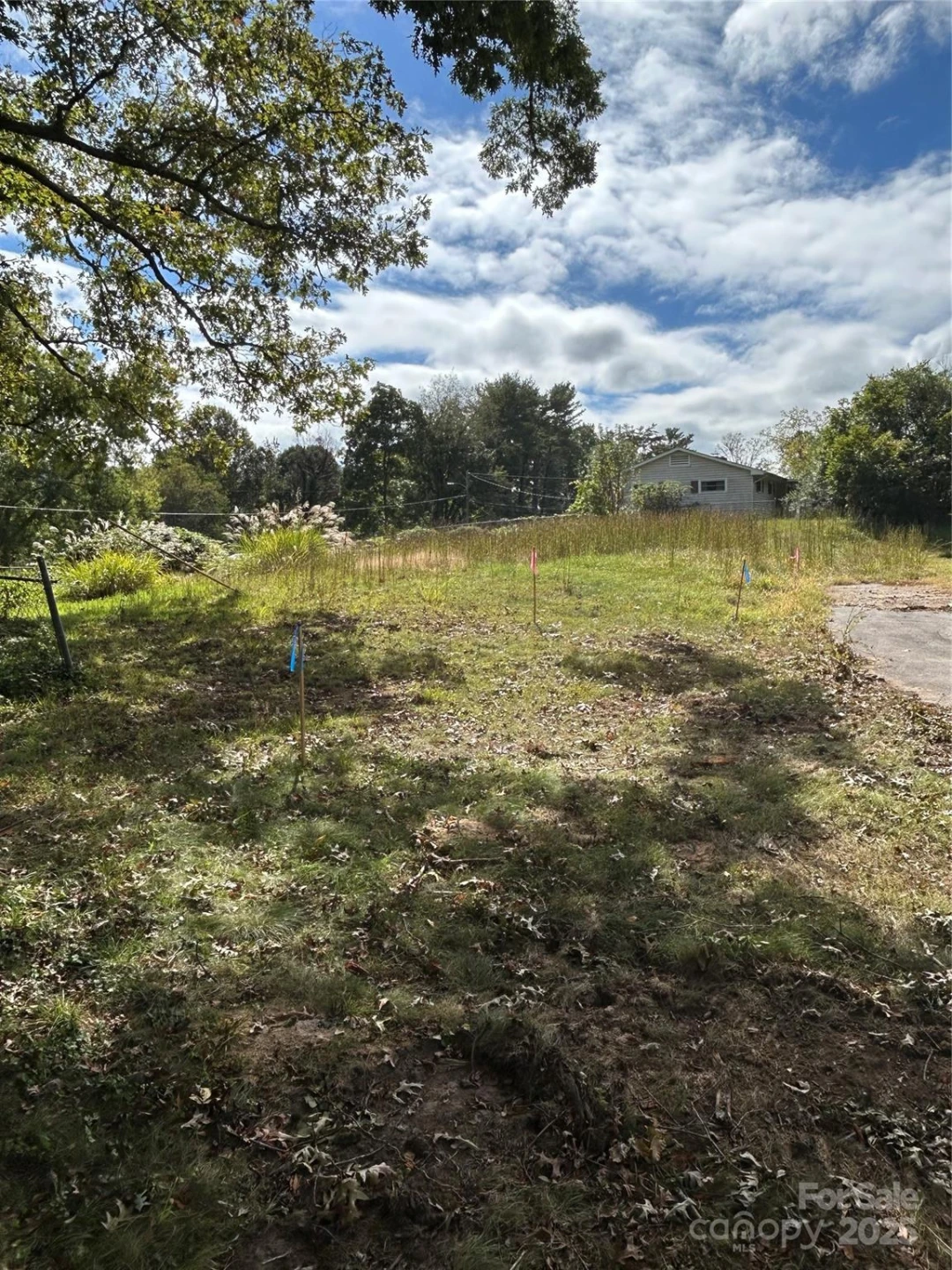 63 Wyatt Street - Photo 10