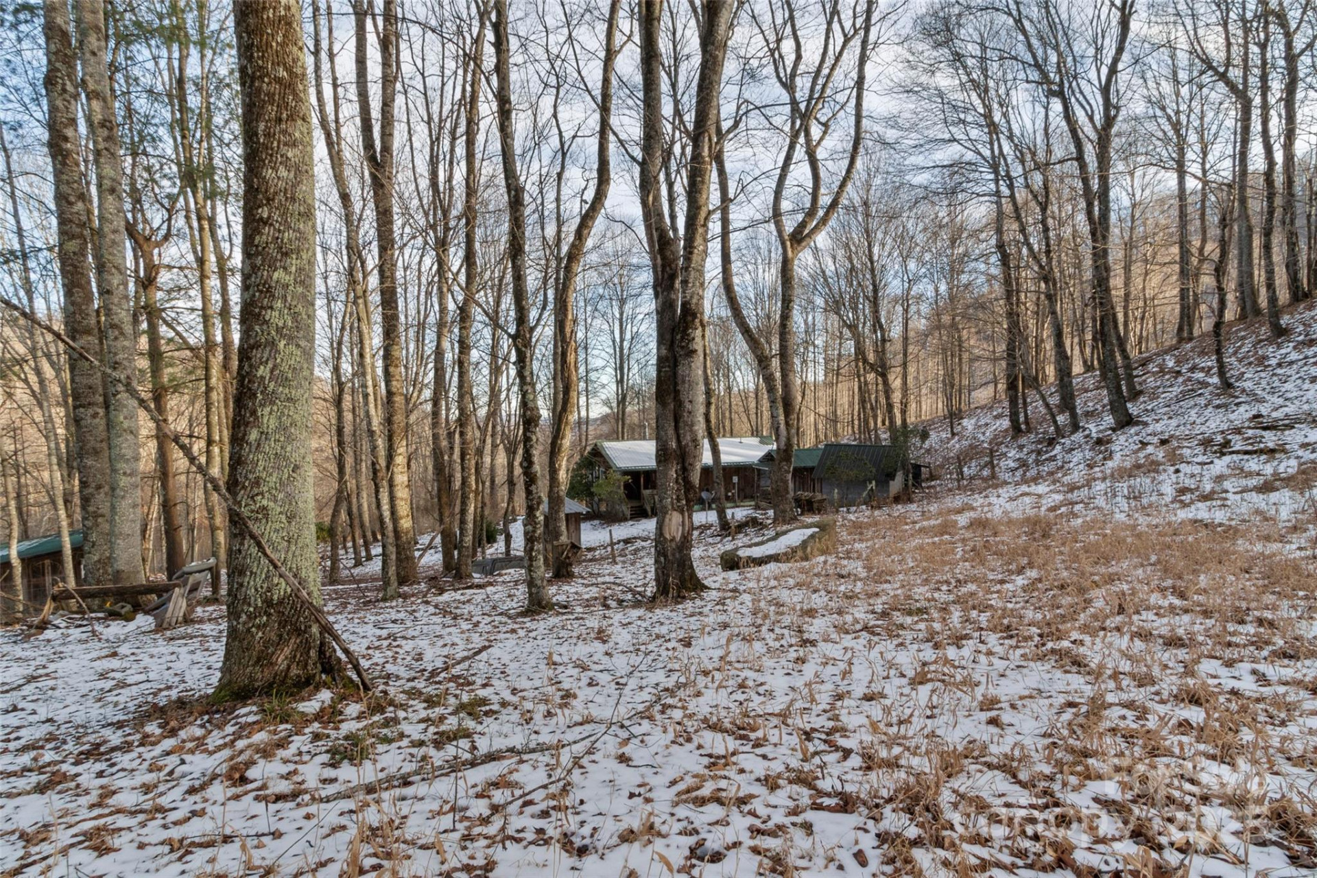 1571 Roaring Fork Road - Photo 11
