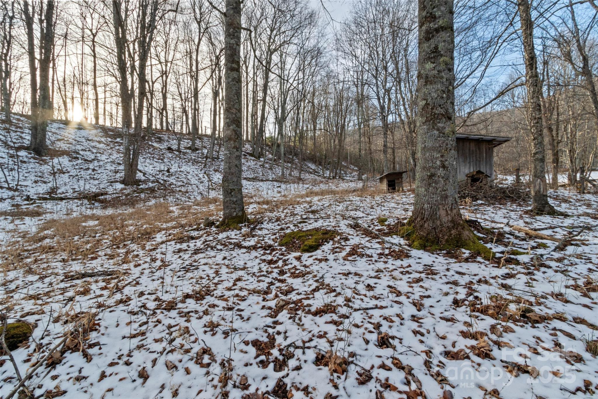 1571 Roaring Fork Road - Photo 12