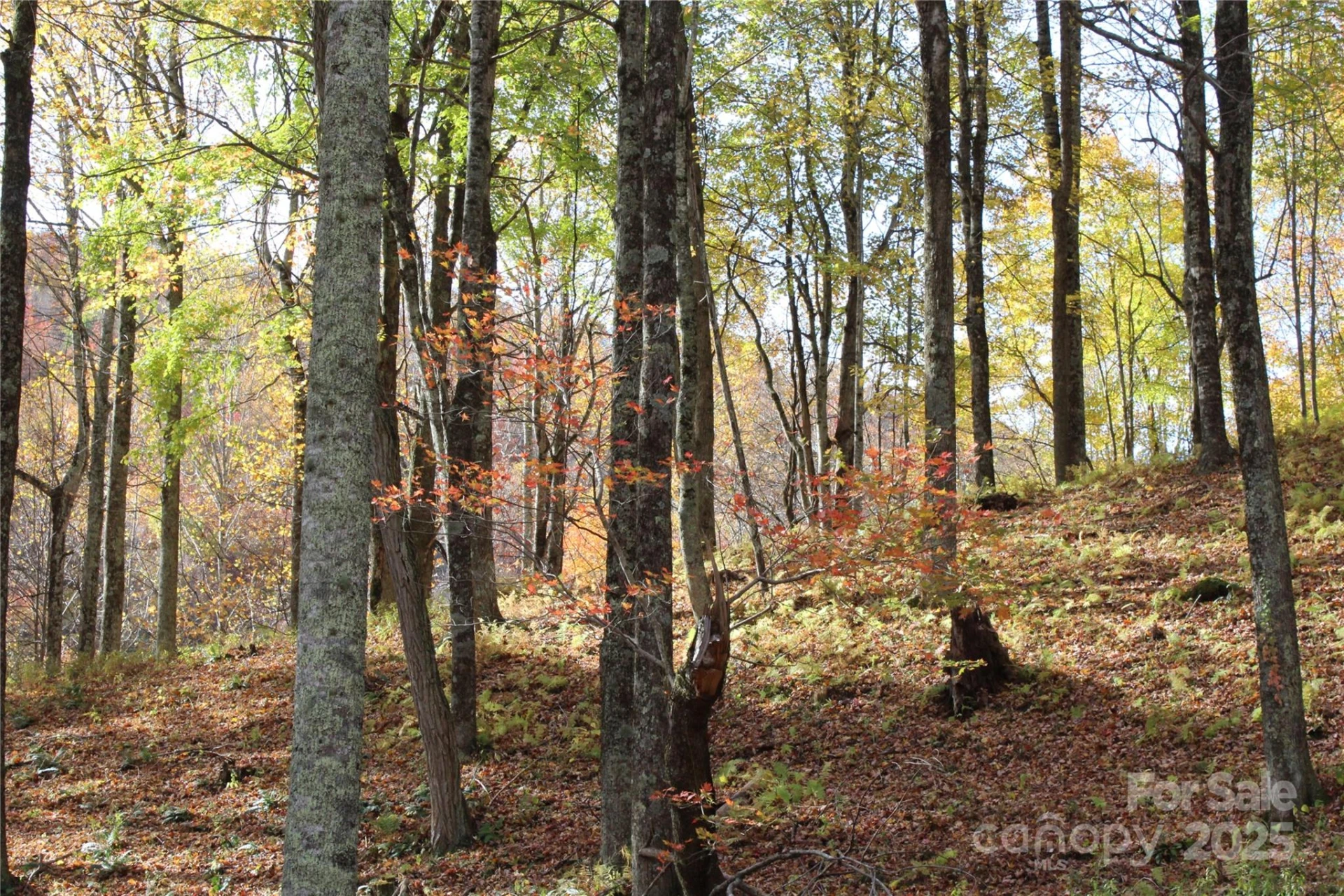1571 Roaring Fork Road - Photo 13