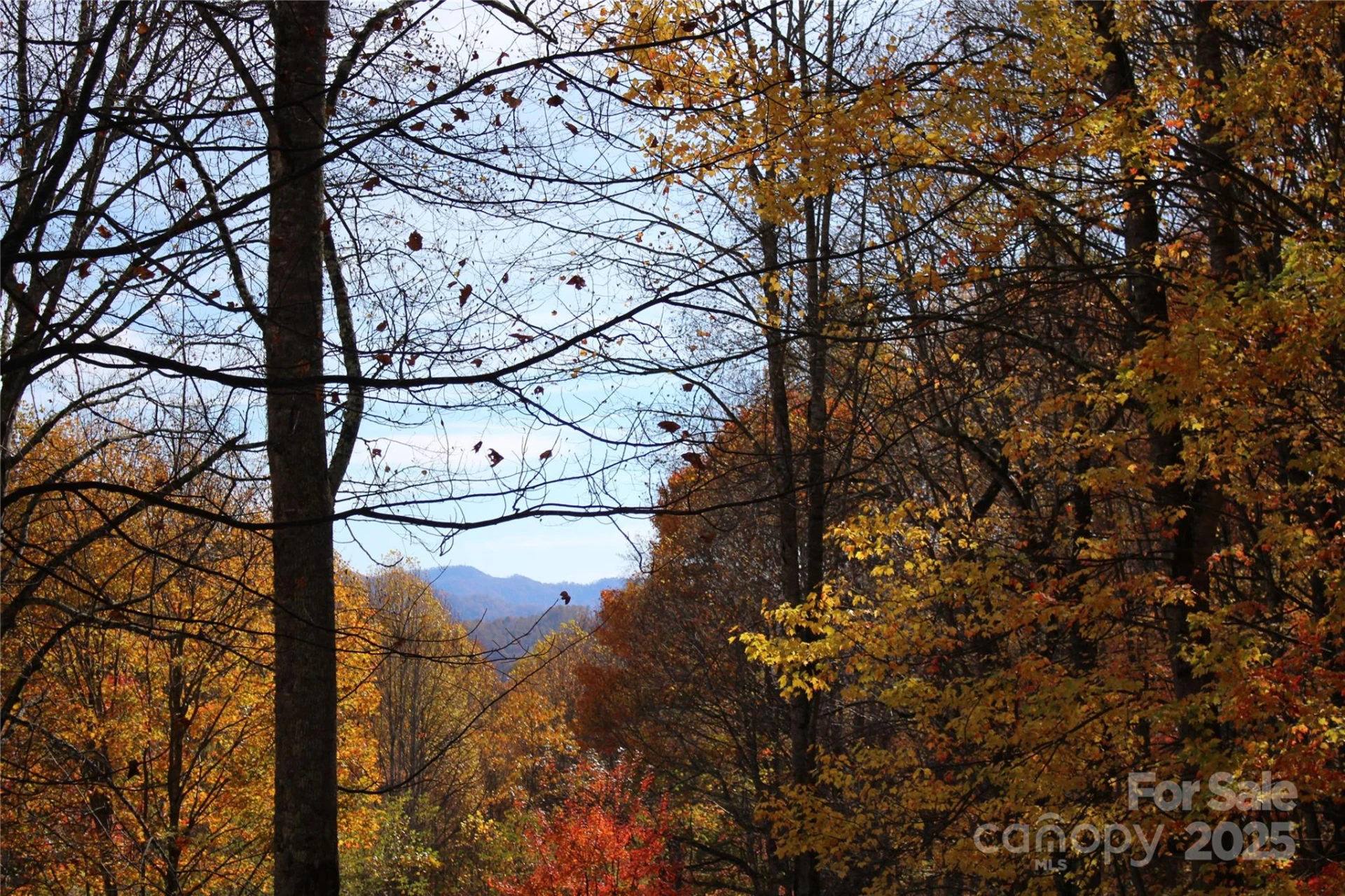 1571 Roaring Fork Road - Photo 4